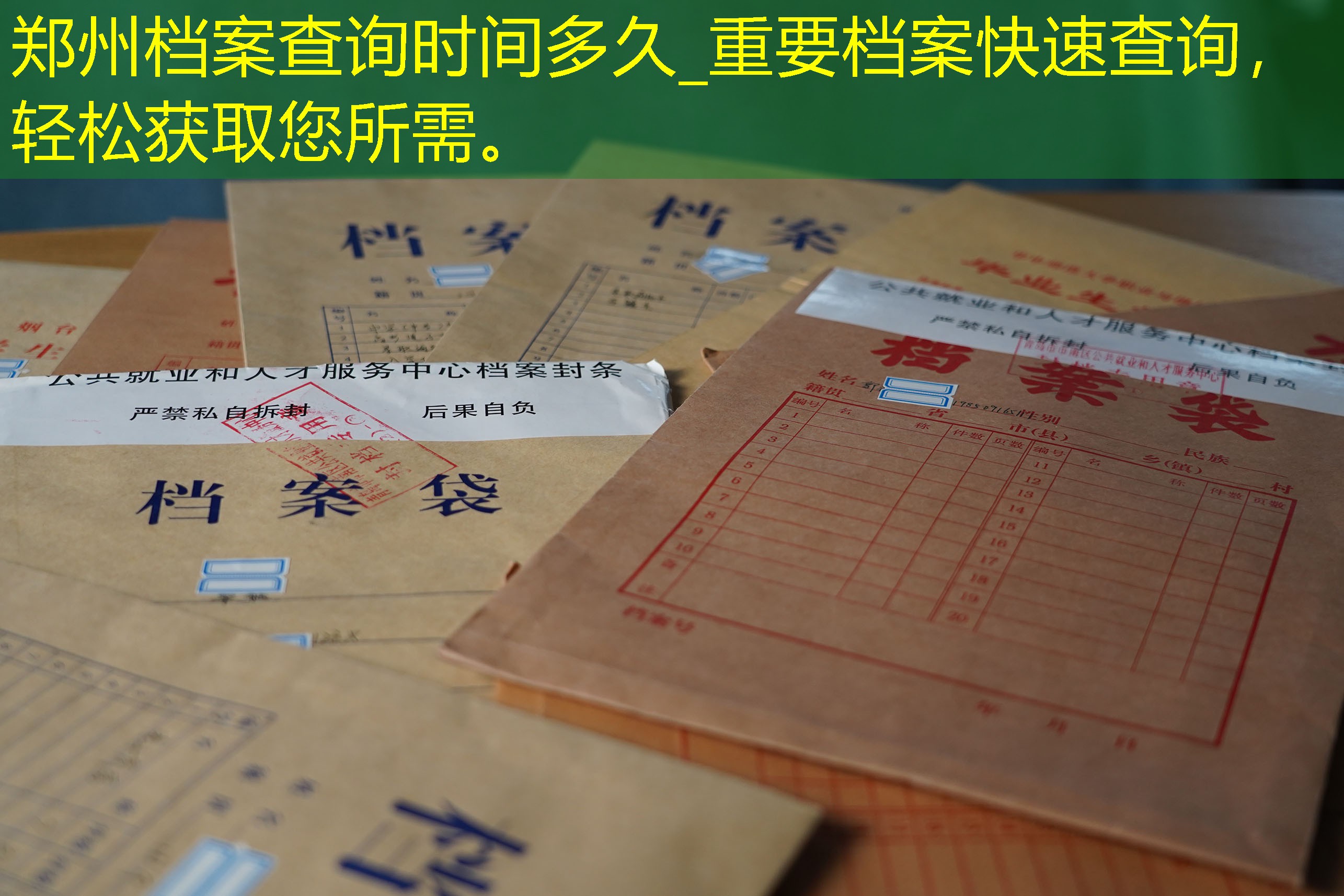 档案查询