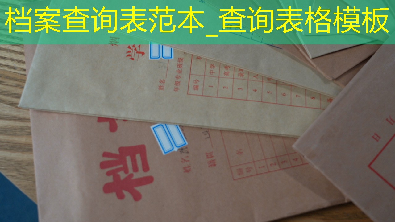 档案查询