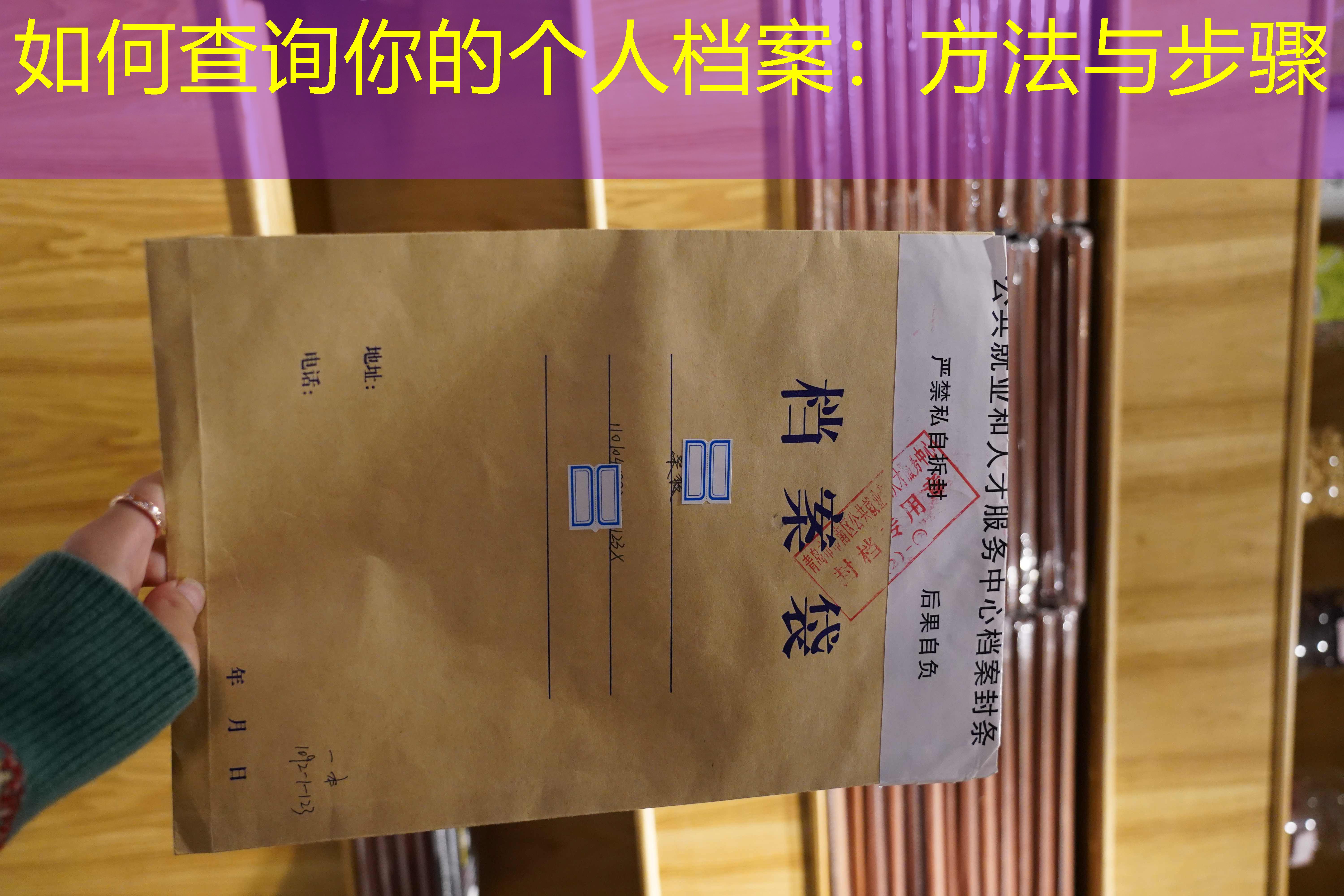 档案查询