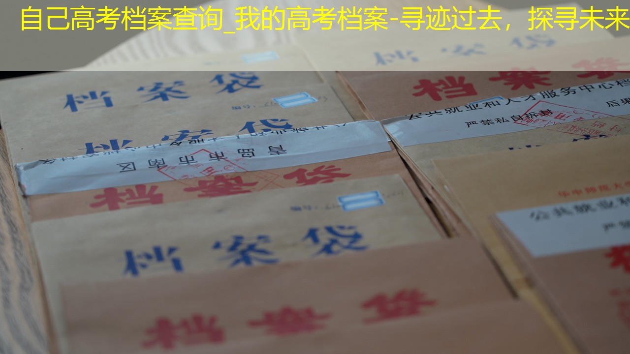 档案查询