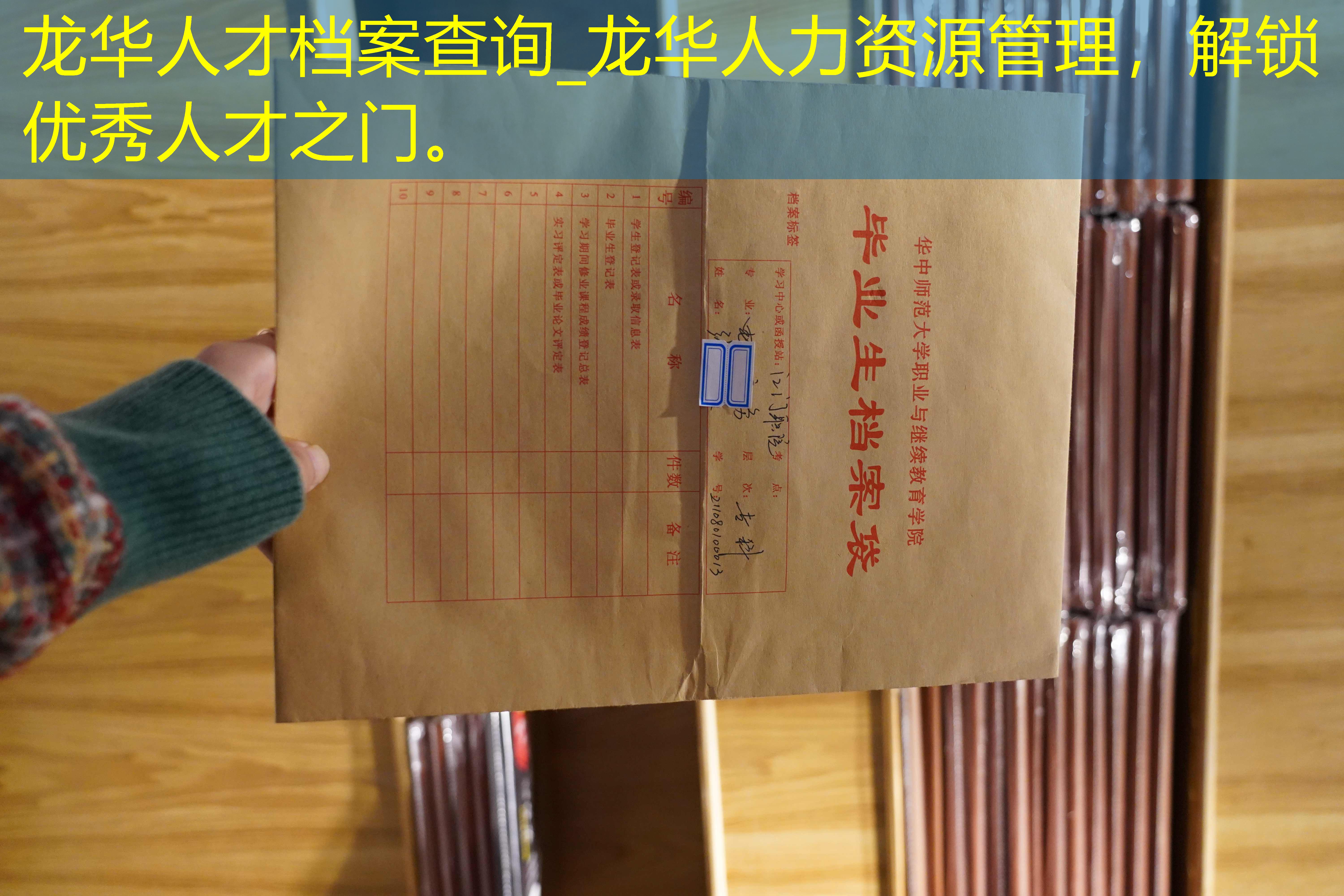 档案查询