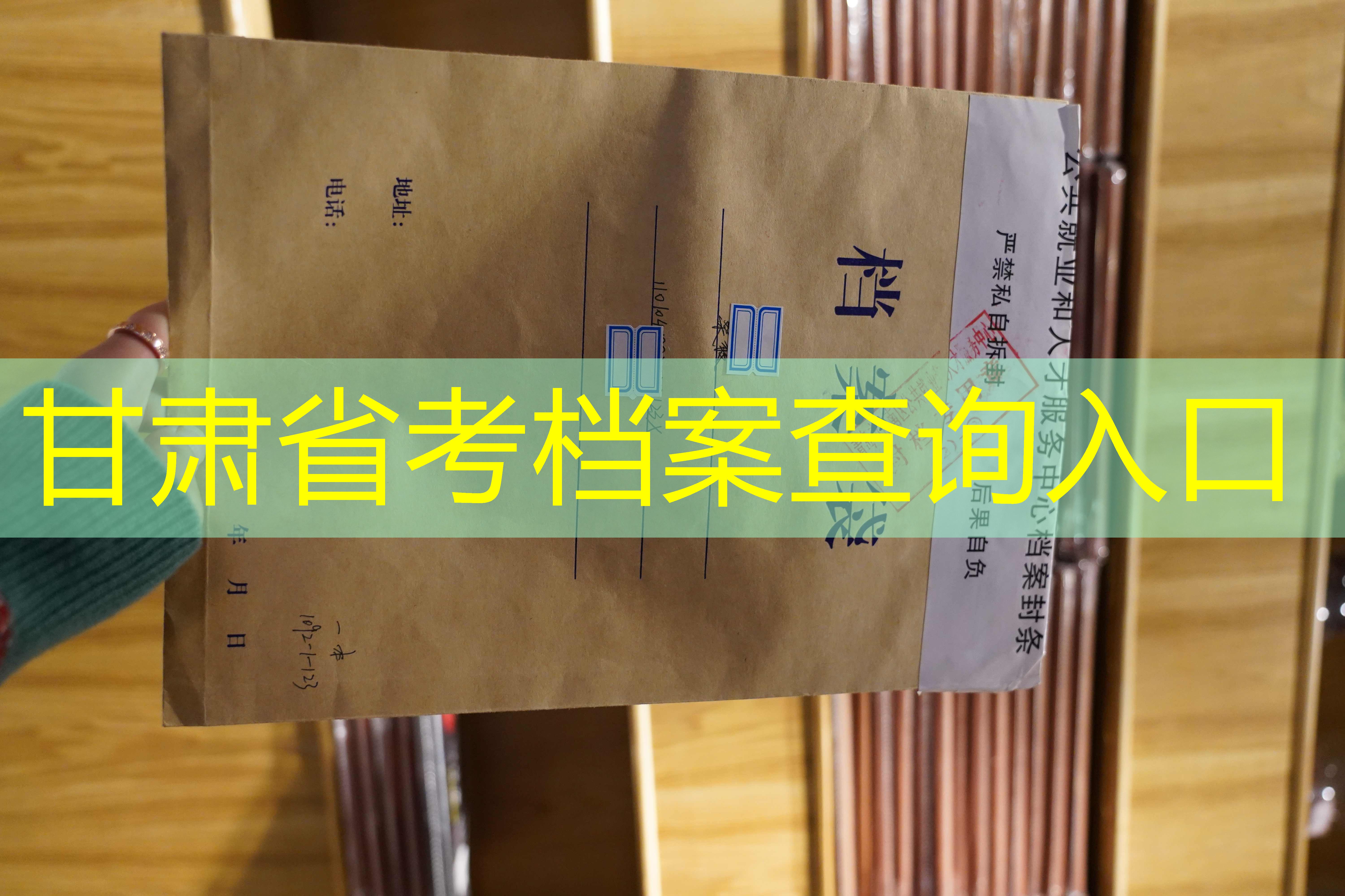 档案查询