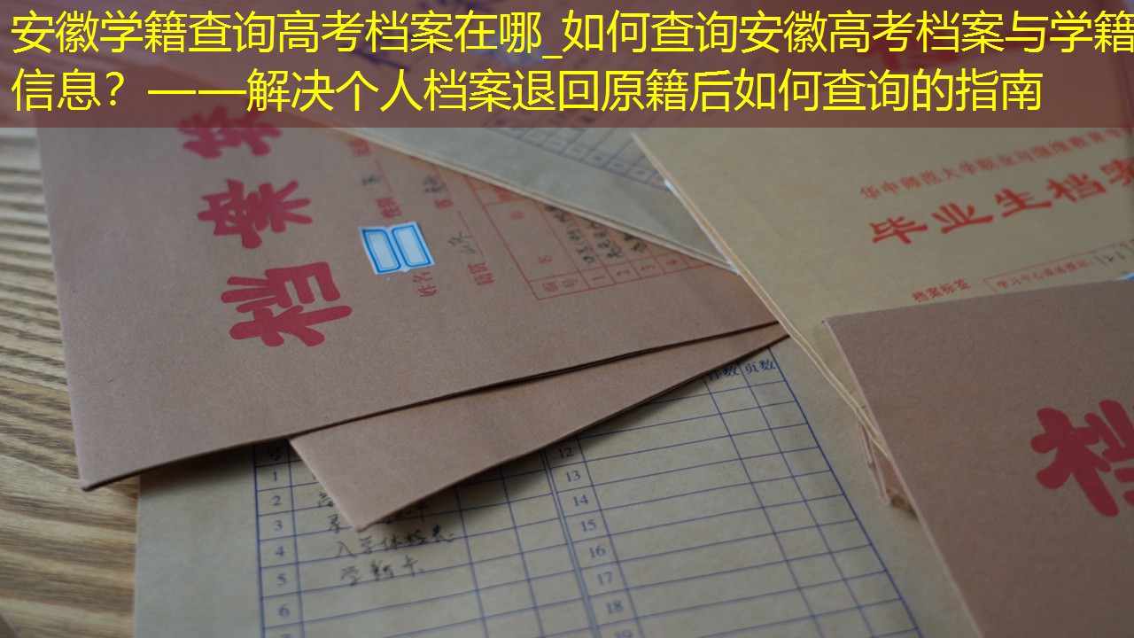 档案查询
