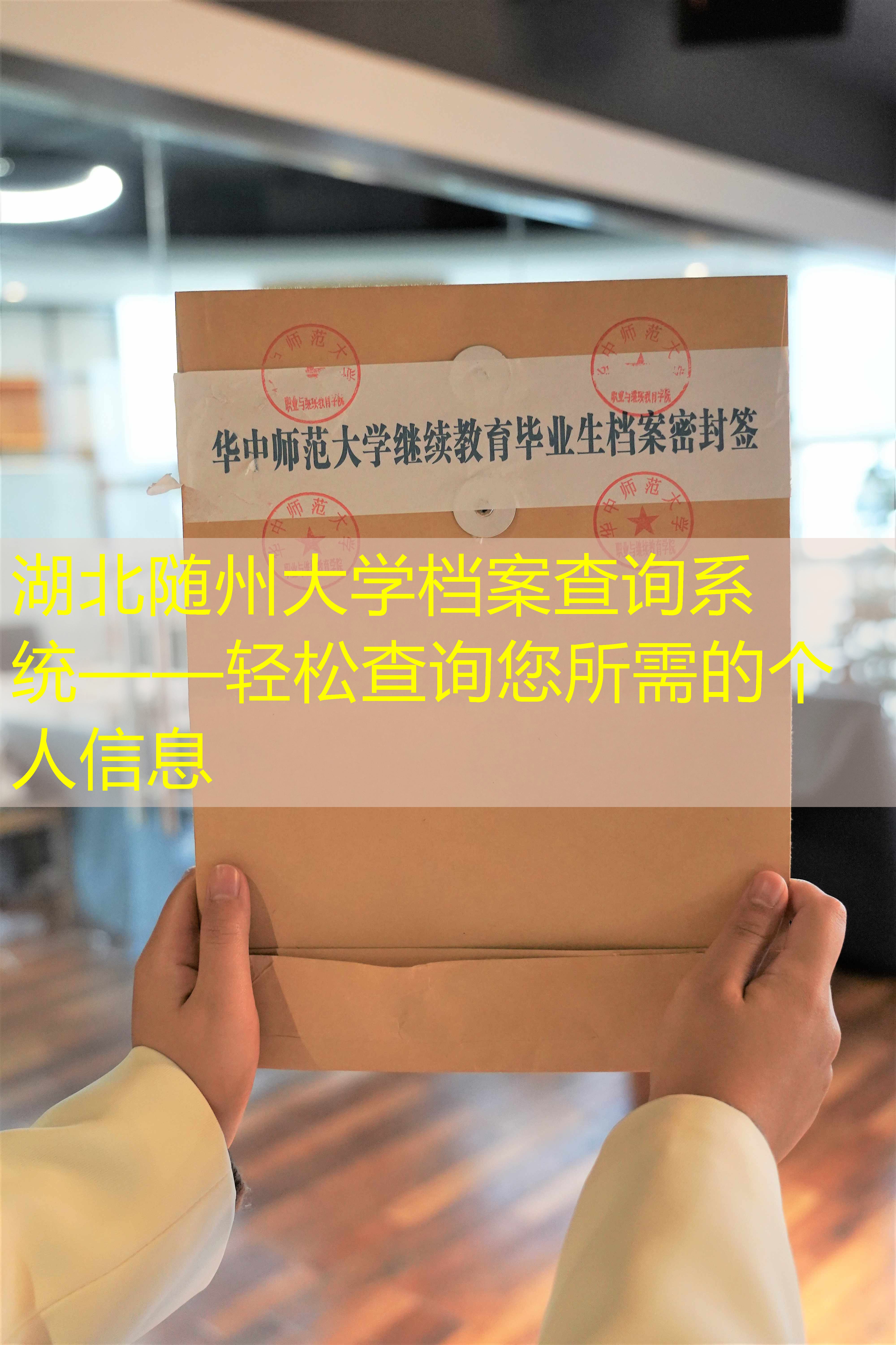 档案查询