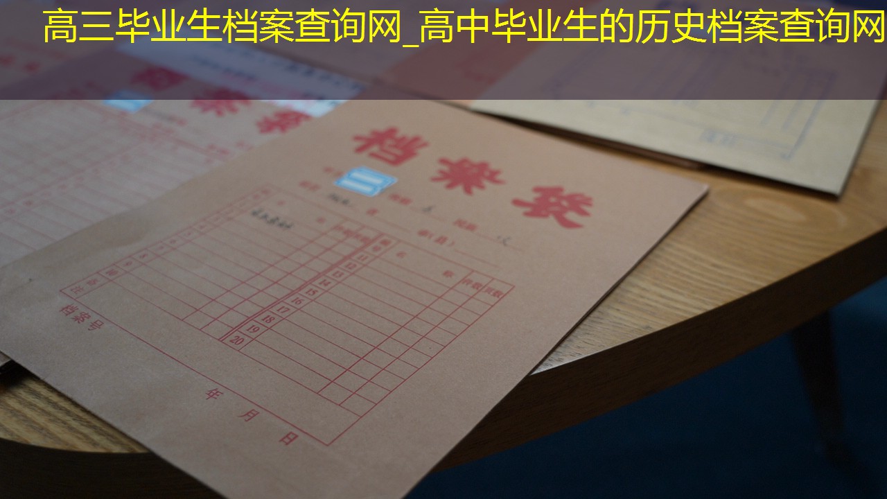 档案查询