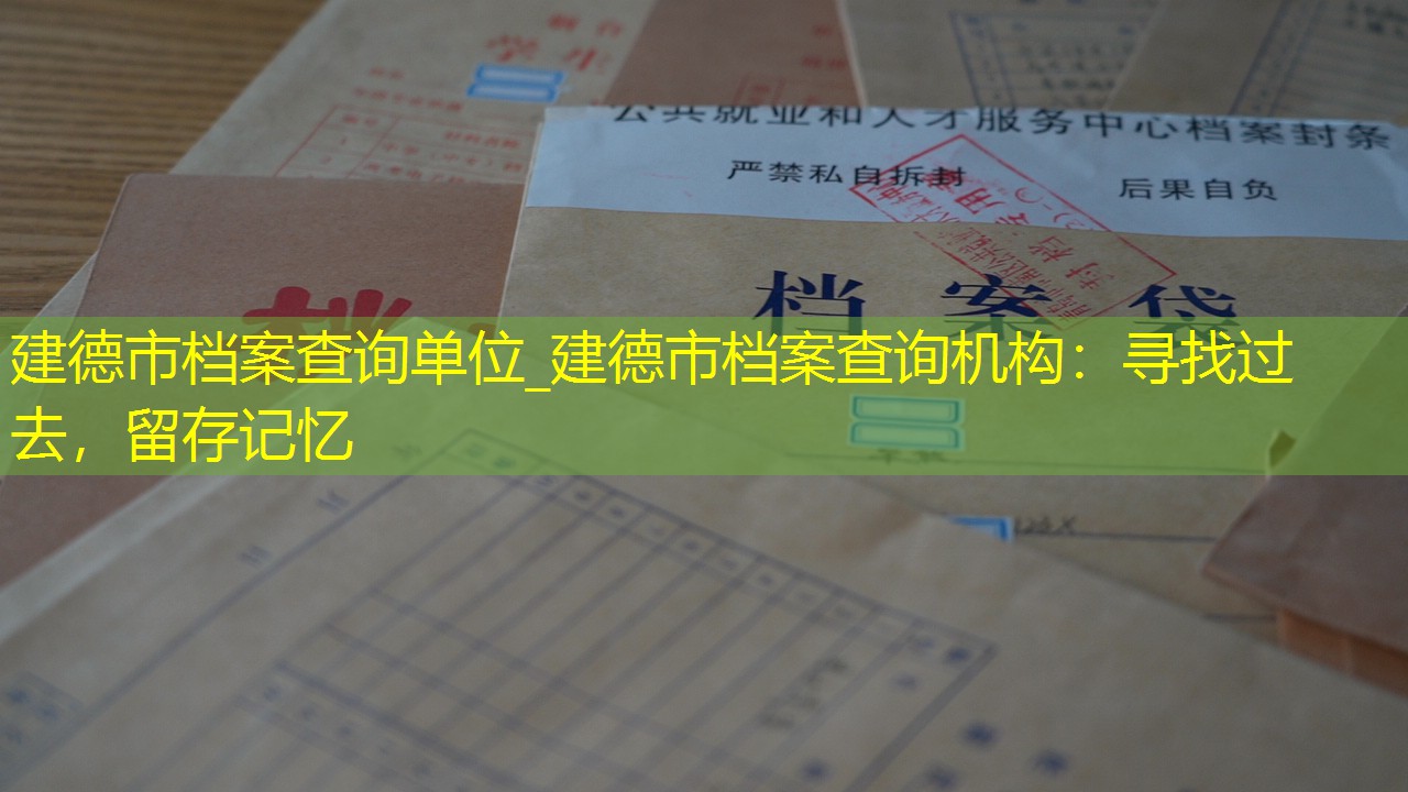 档案查询