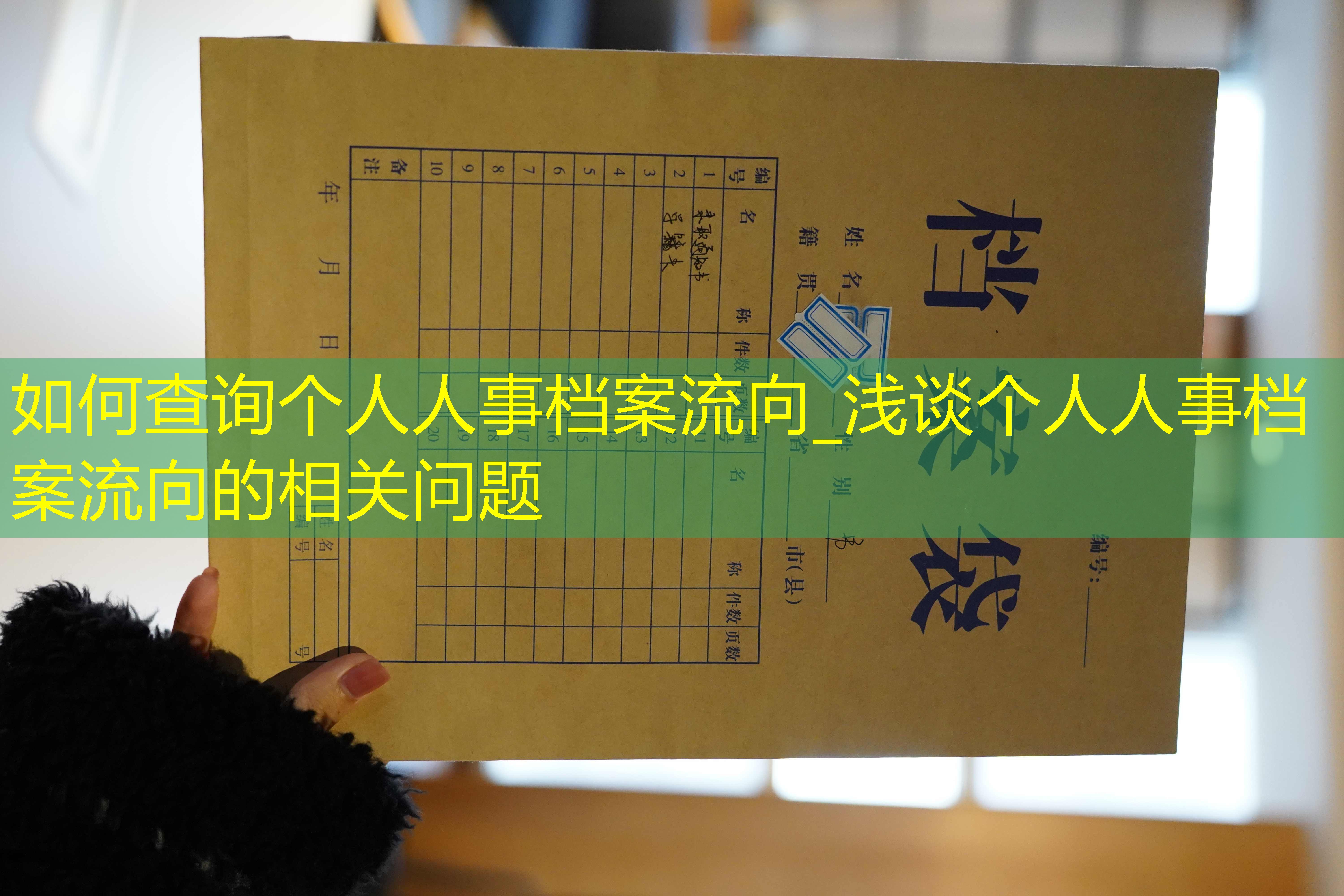 档案查询
