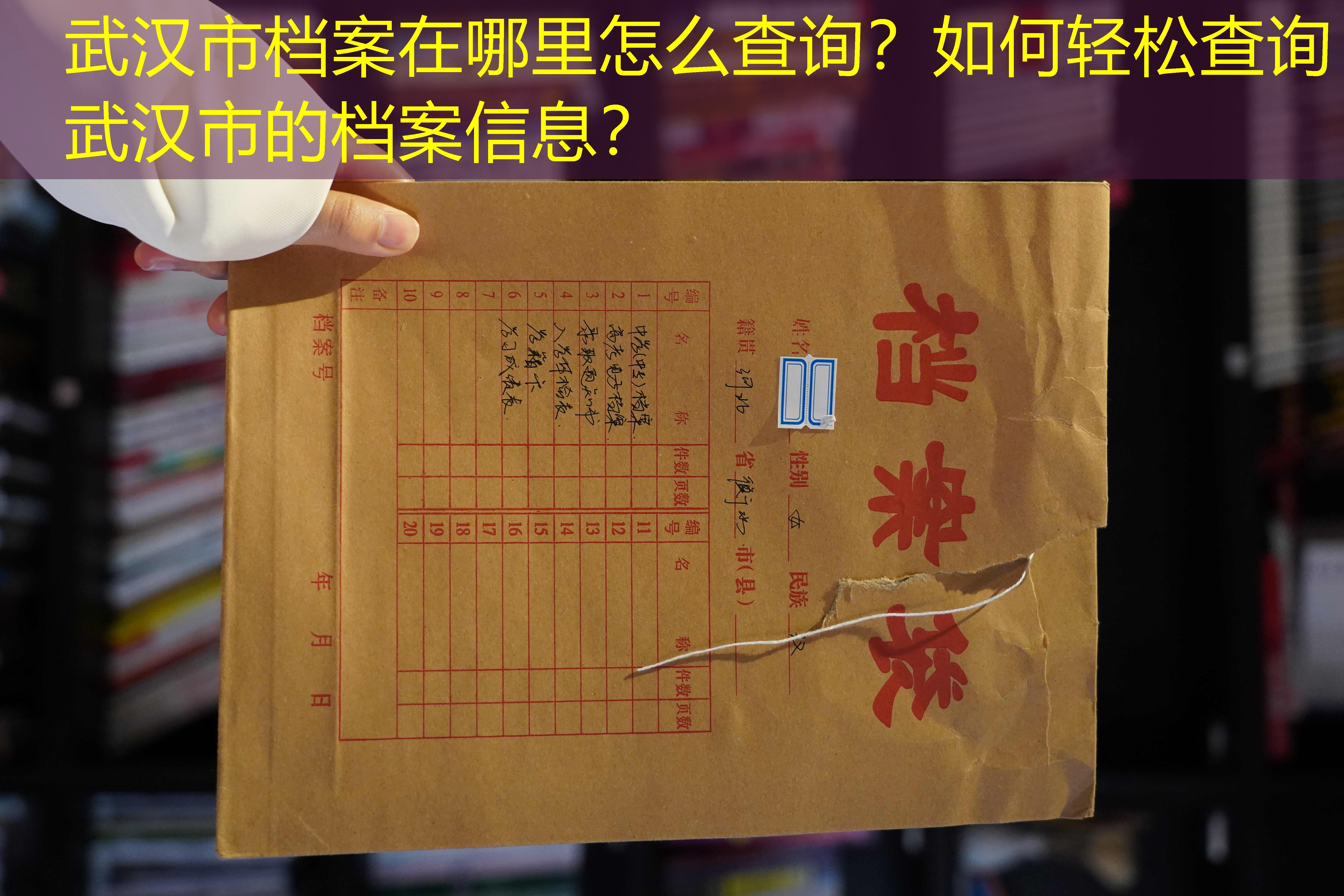 档案查询