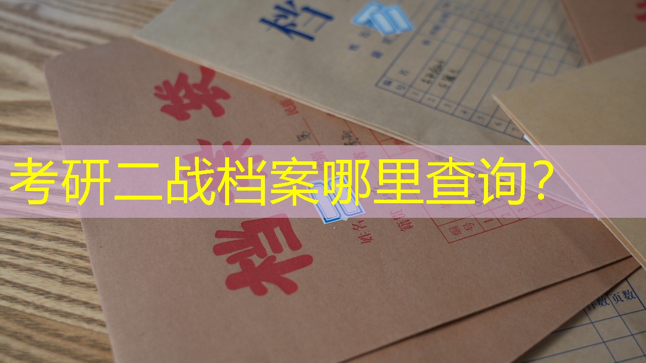 档案查询