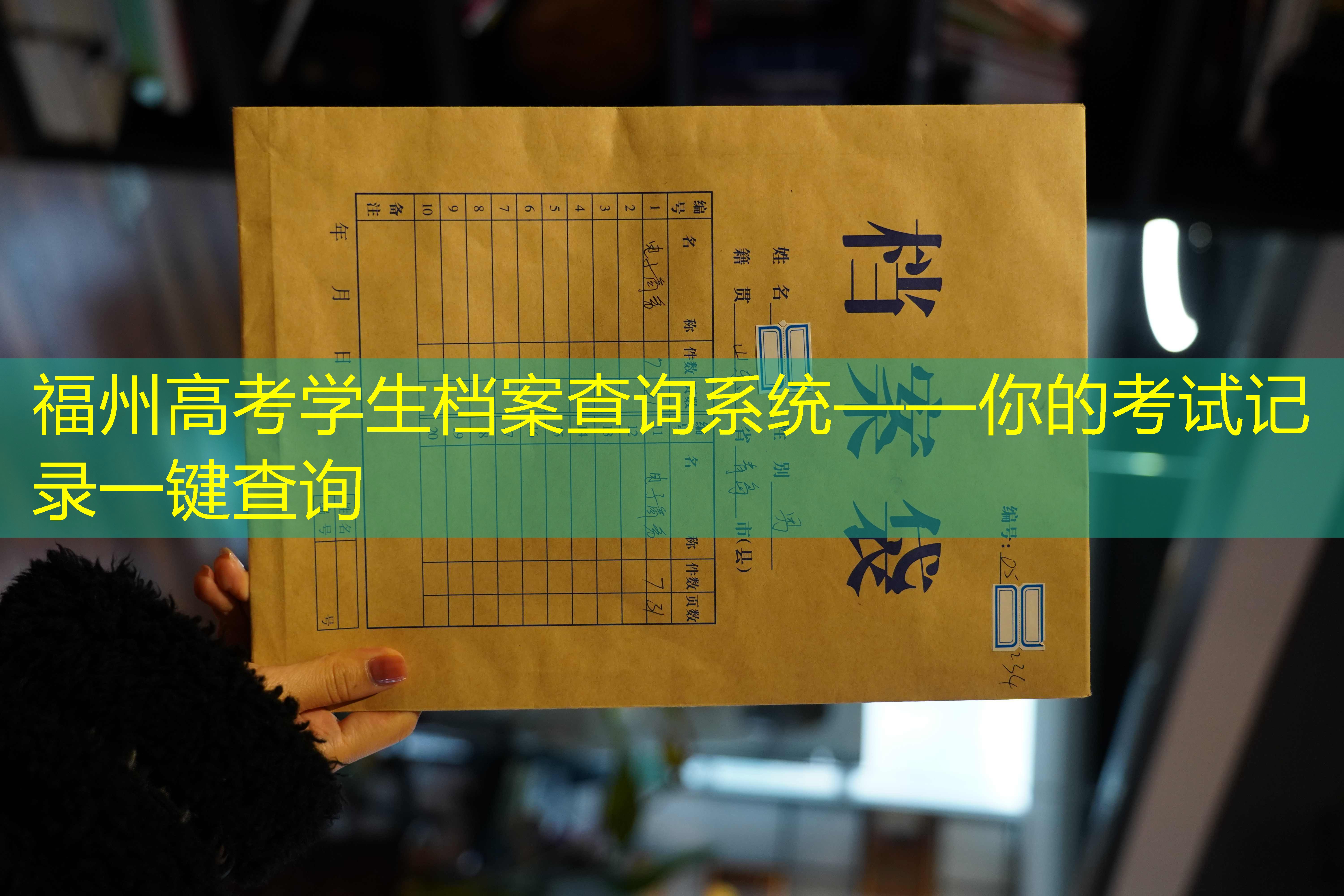 档案查询