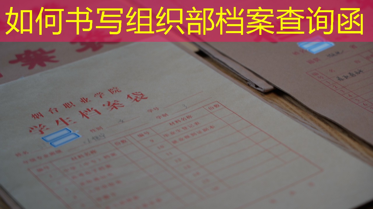 档案查询