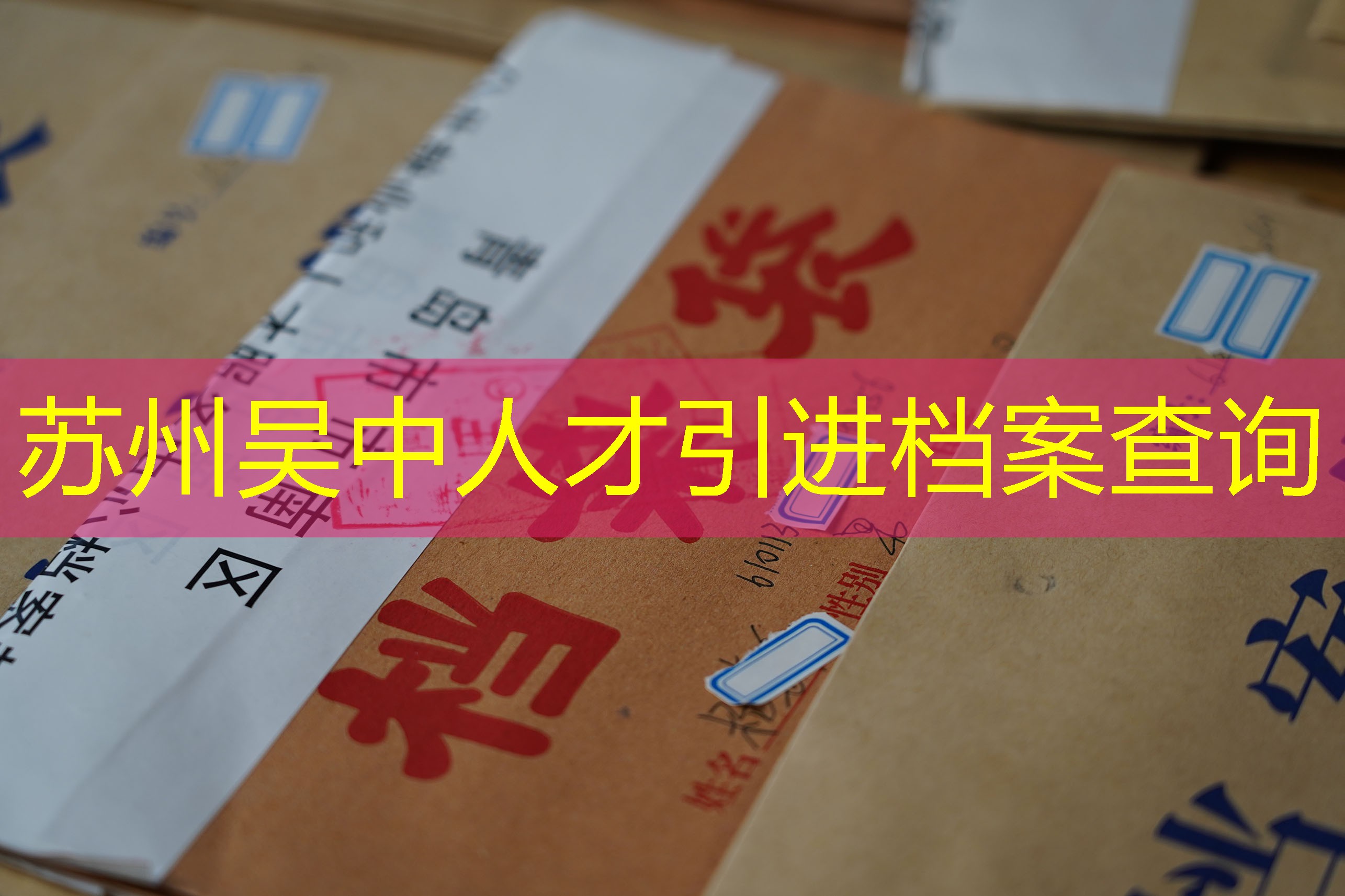 档案查询