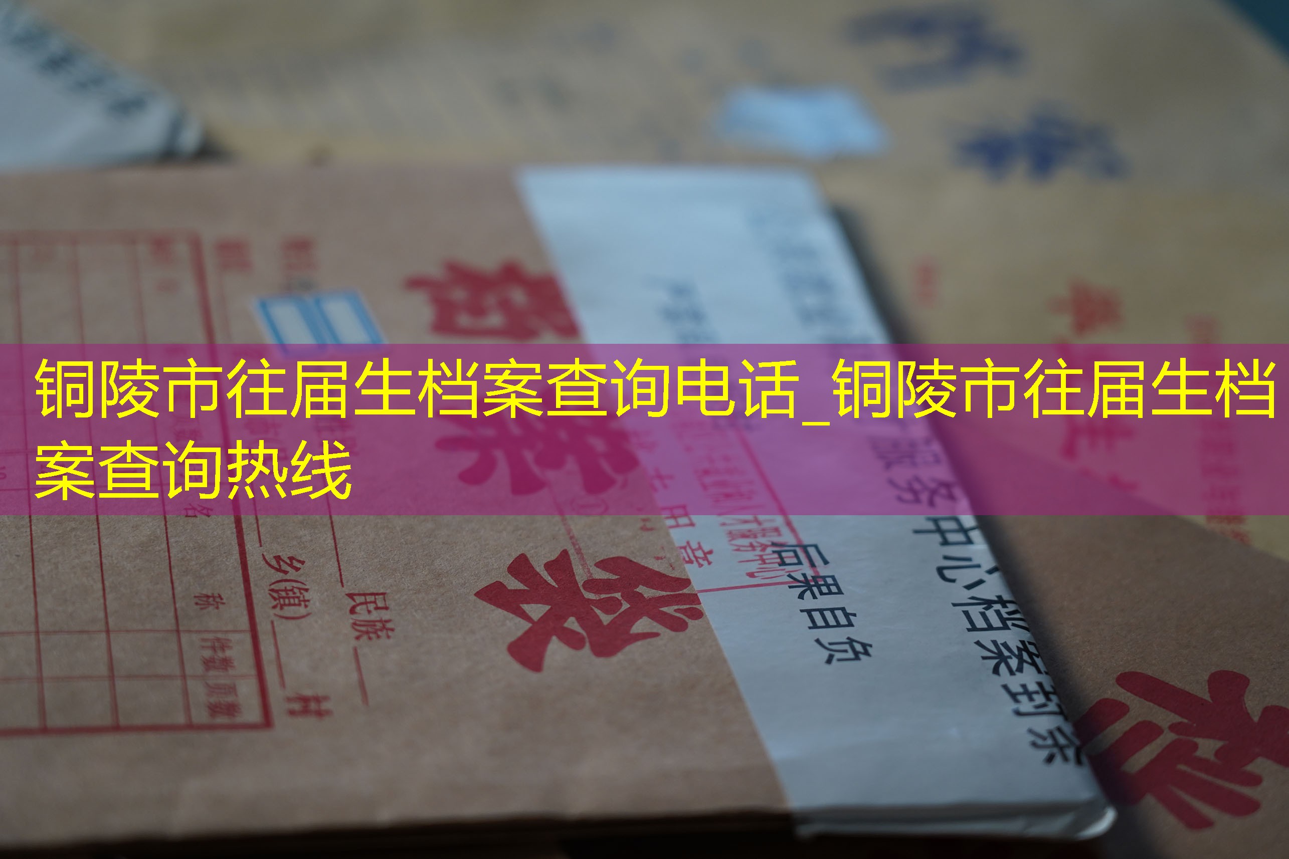 档案查询