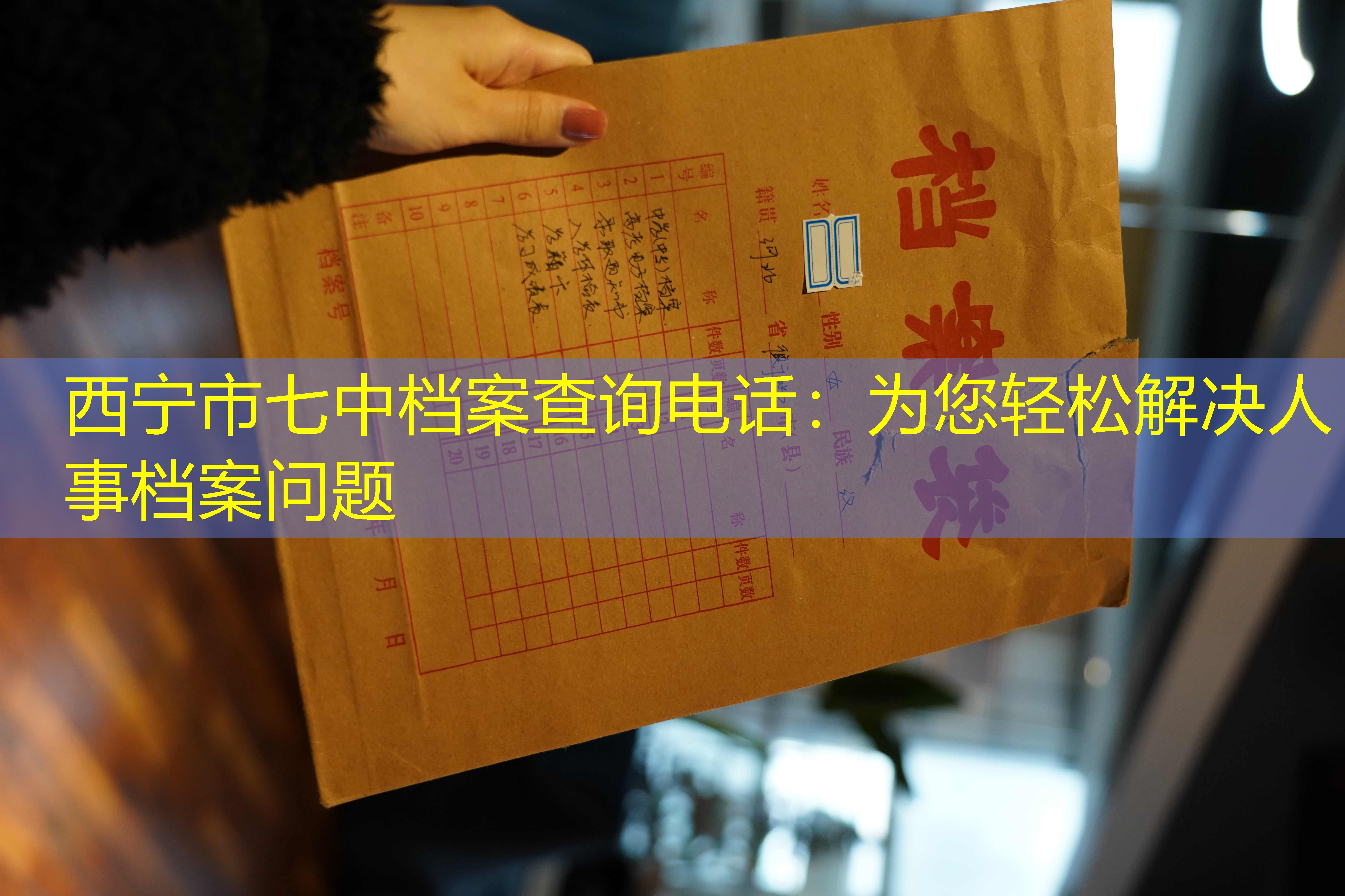 档案查询