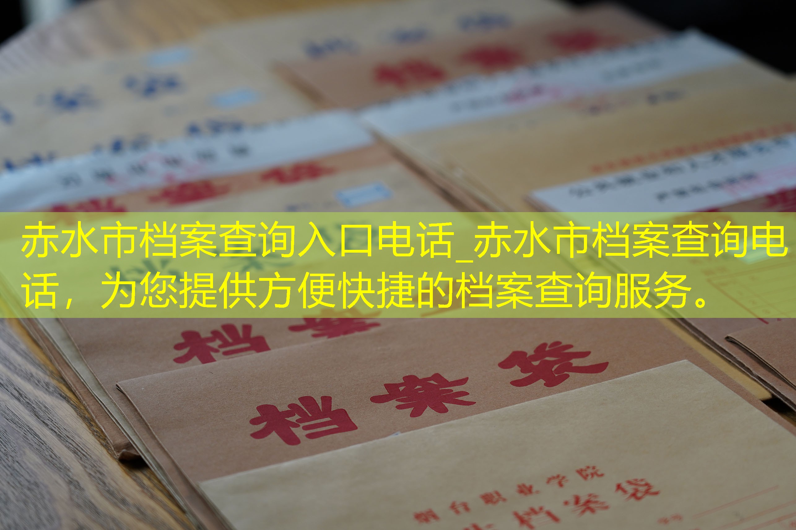 档案查询