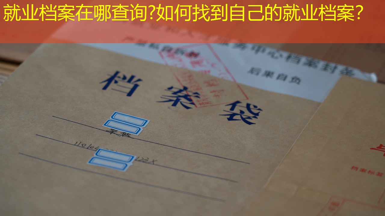 档案查询