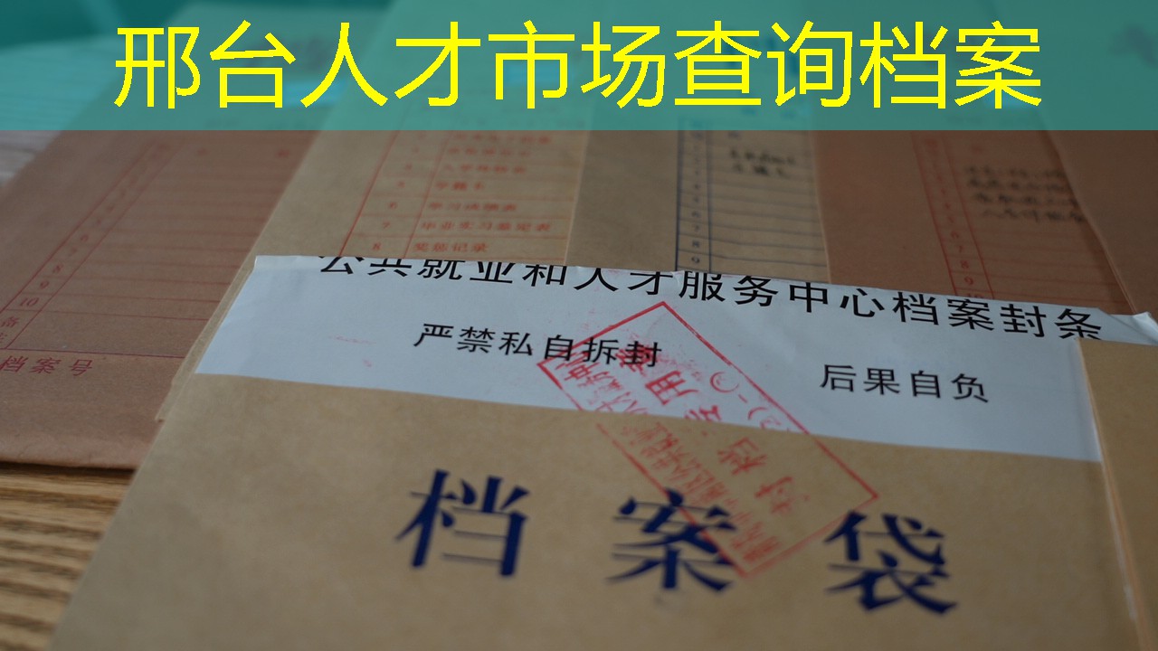 档案查询