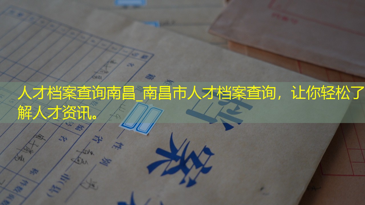 档案查询