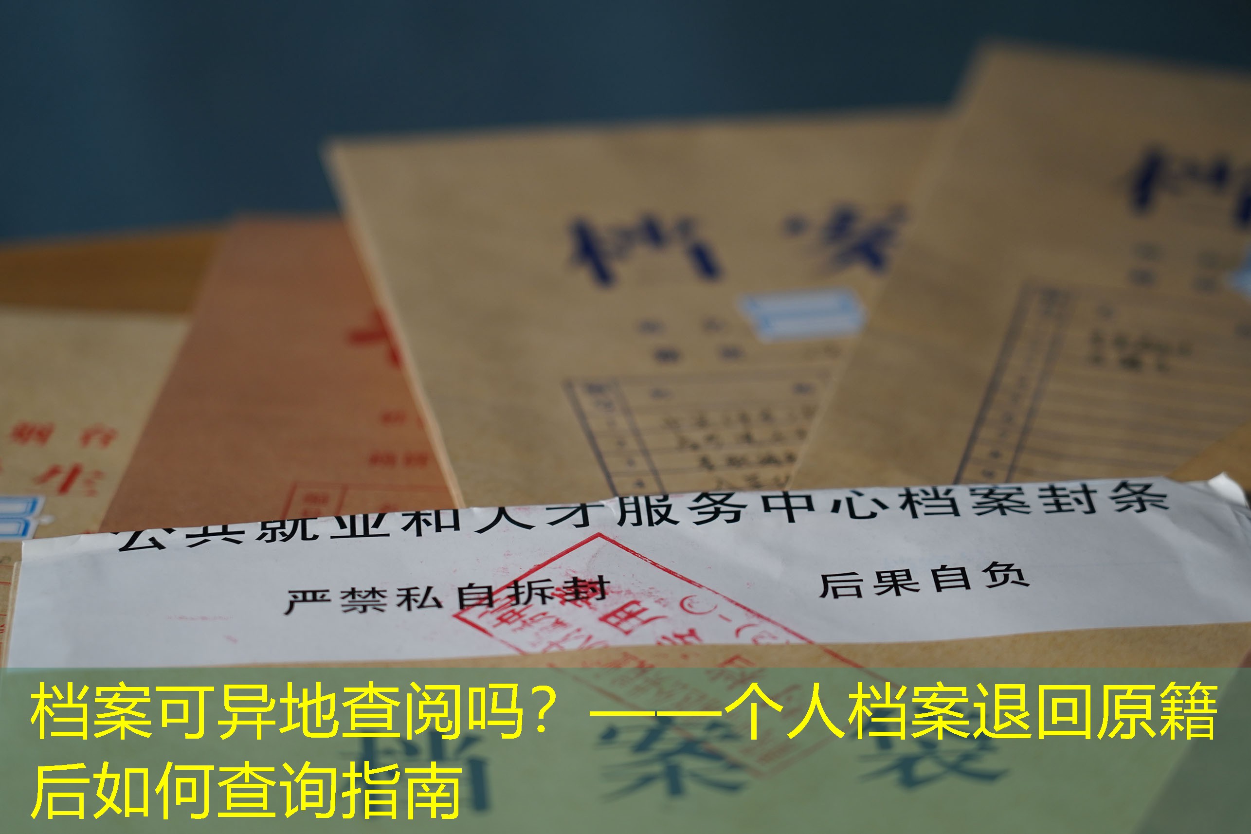 档案查询