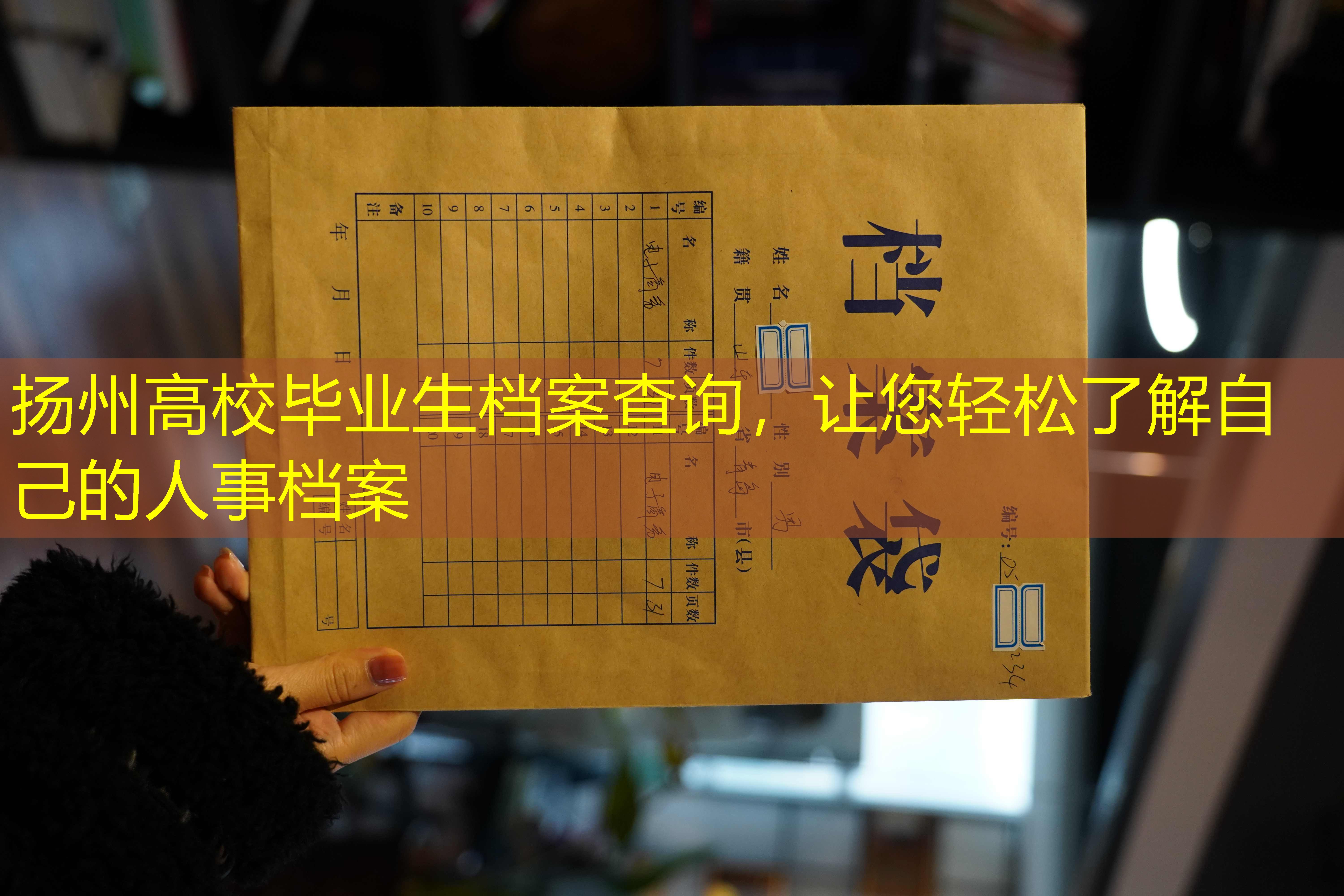 档案查询
