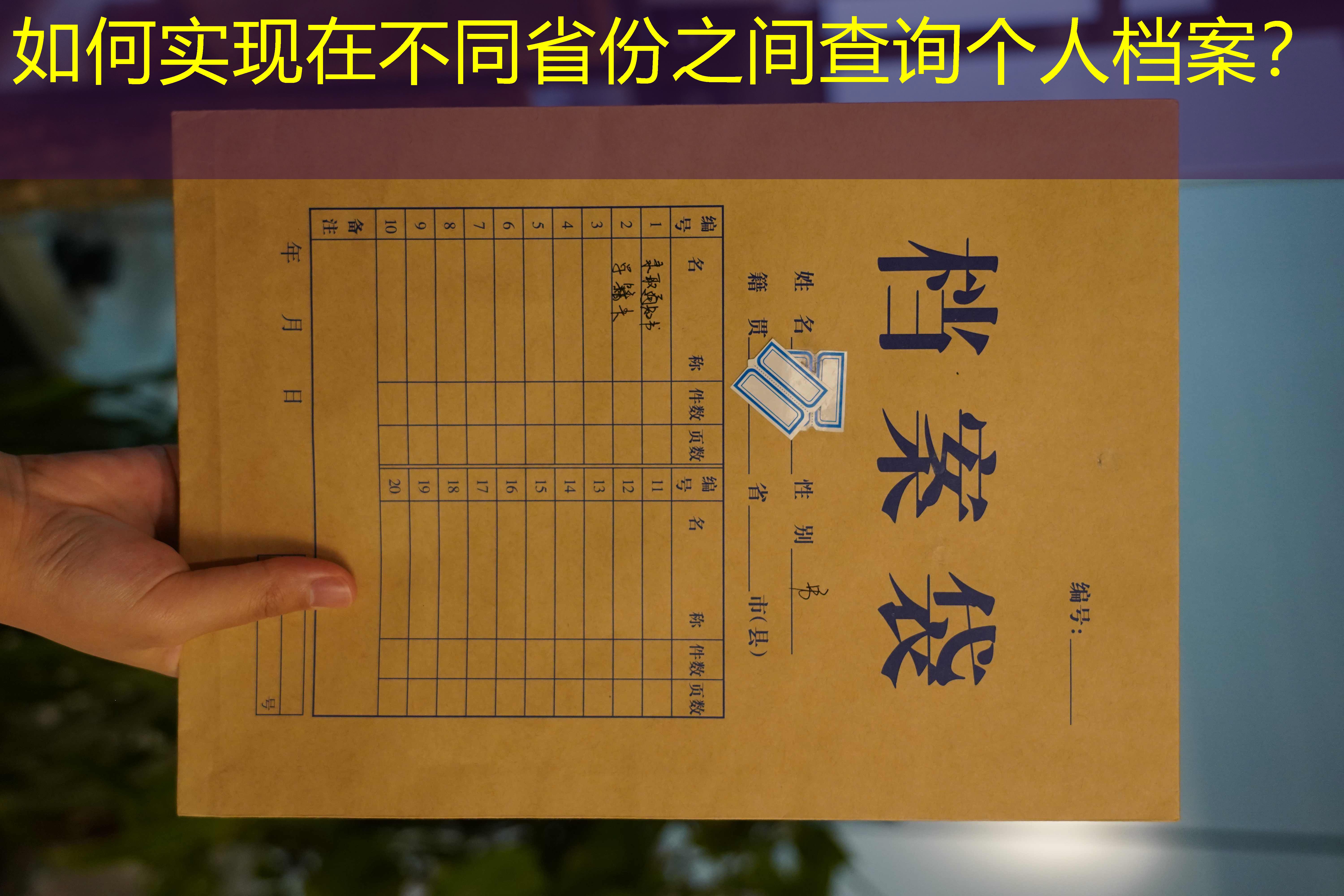 档案查询