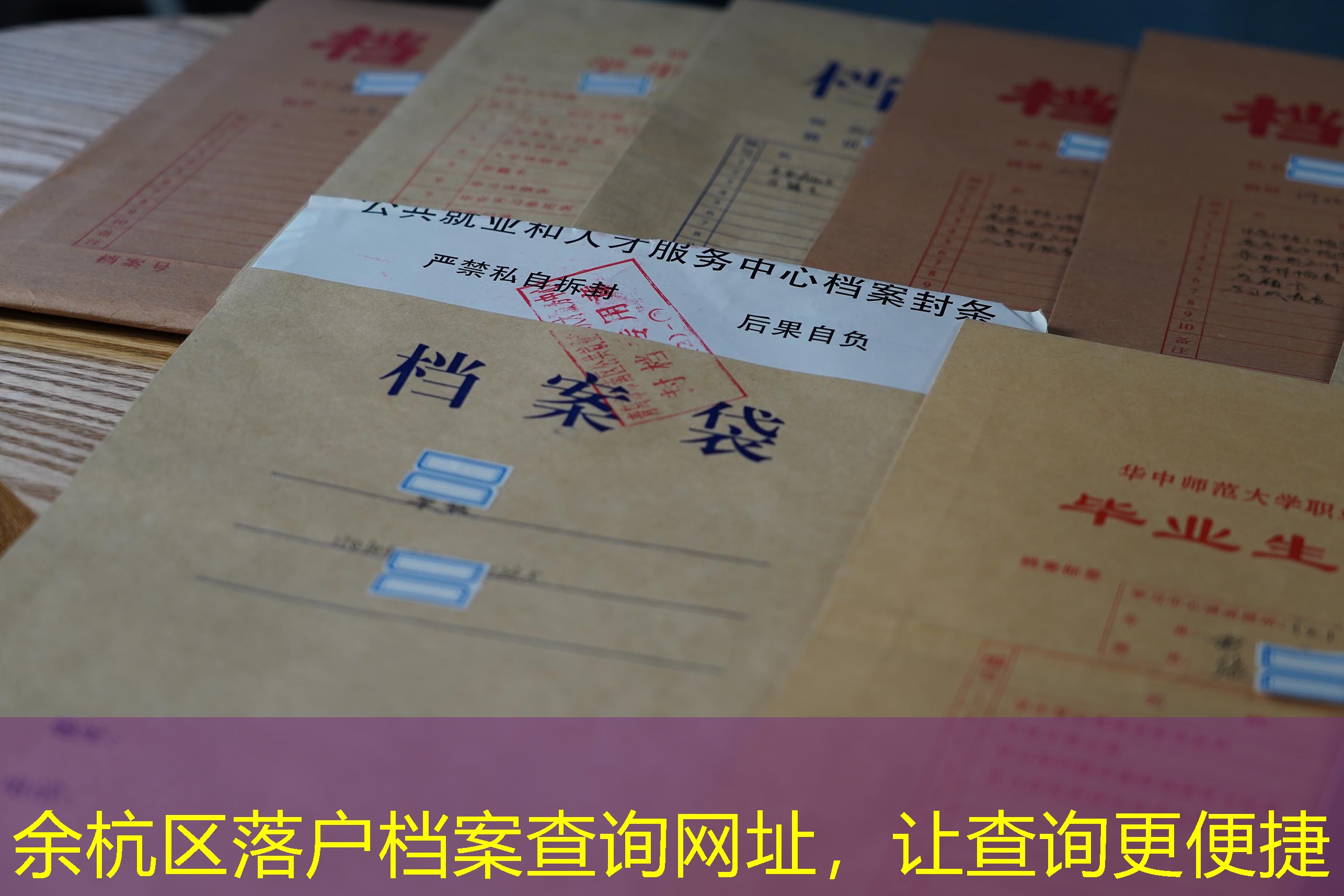 档案查询