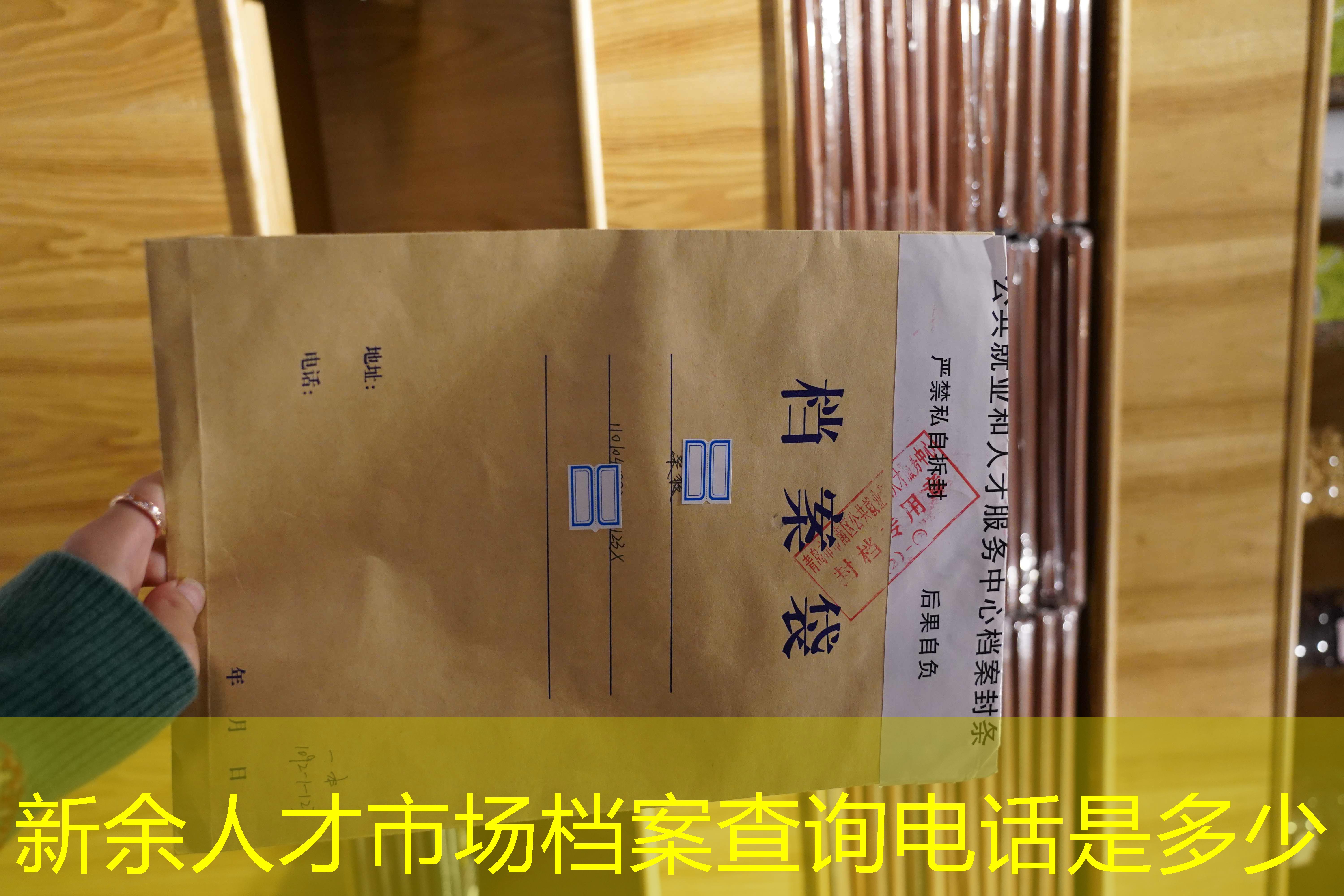 档案查询