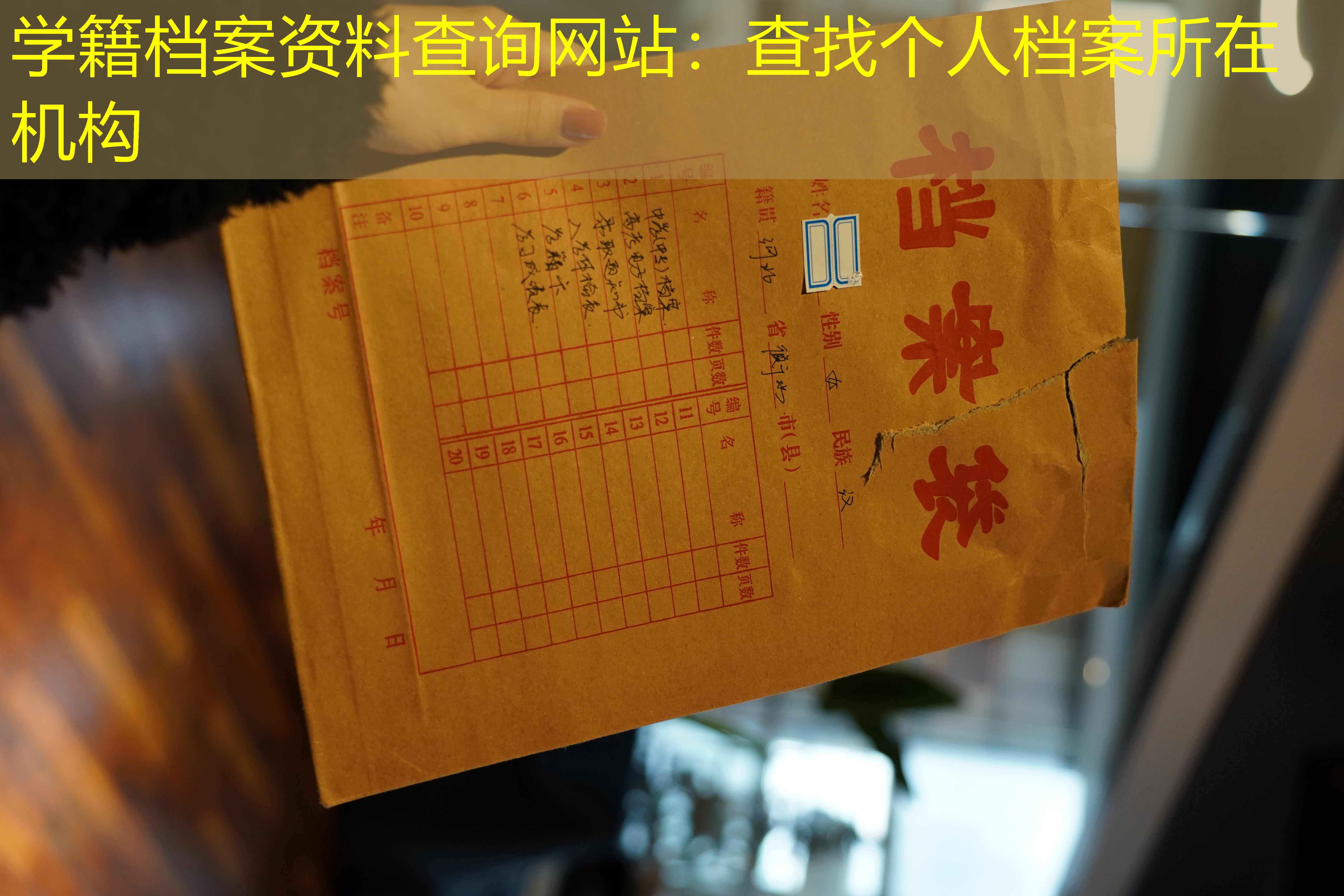 档案查询