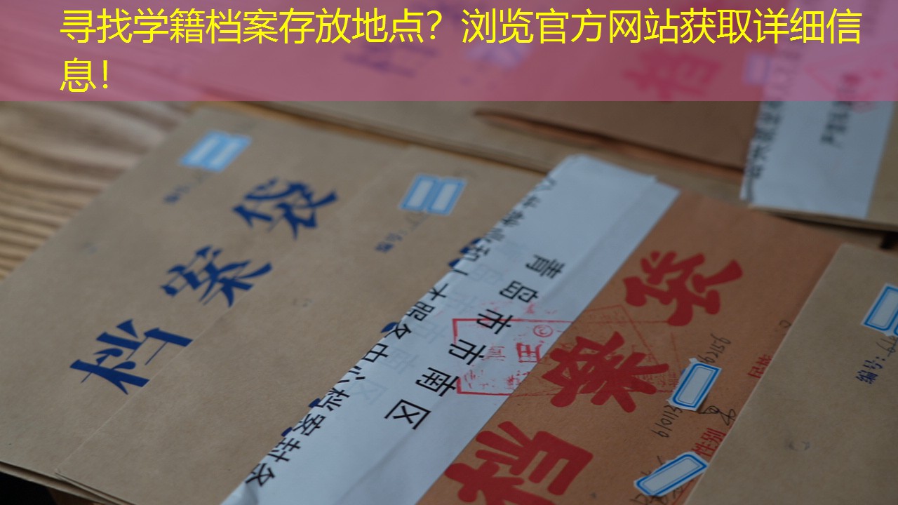 档案查询
