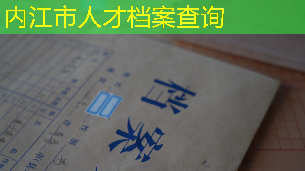 档案查询