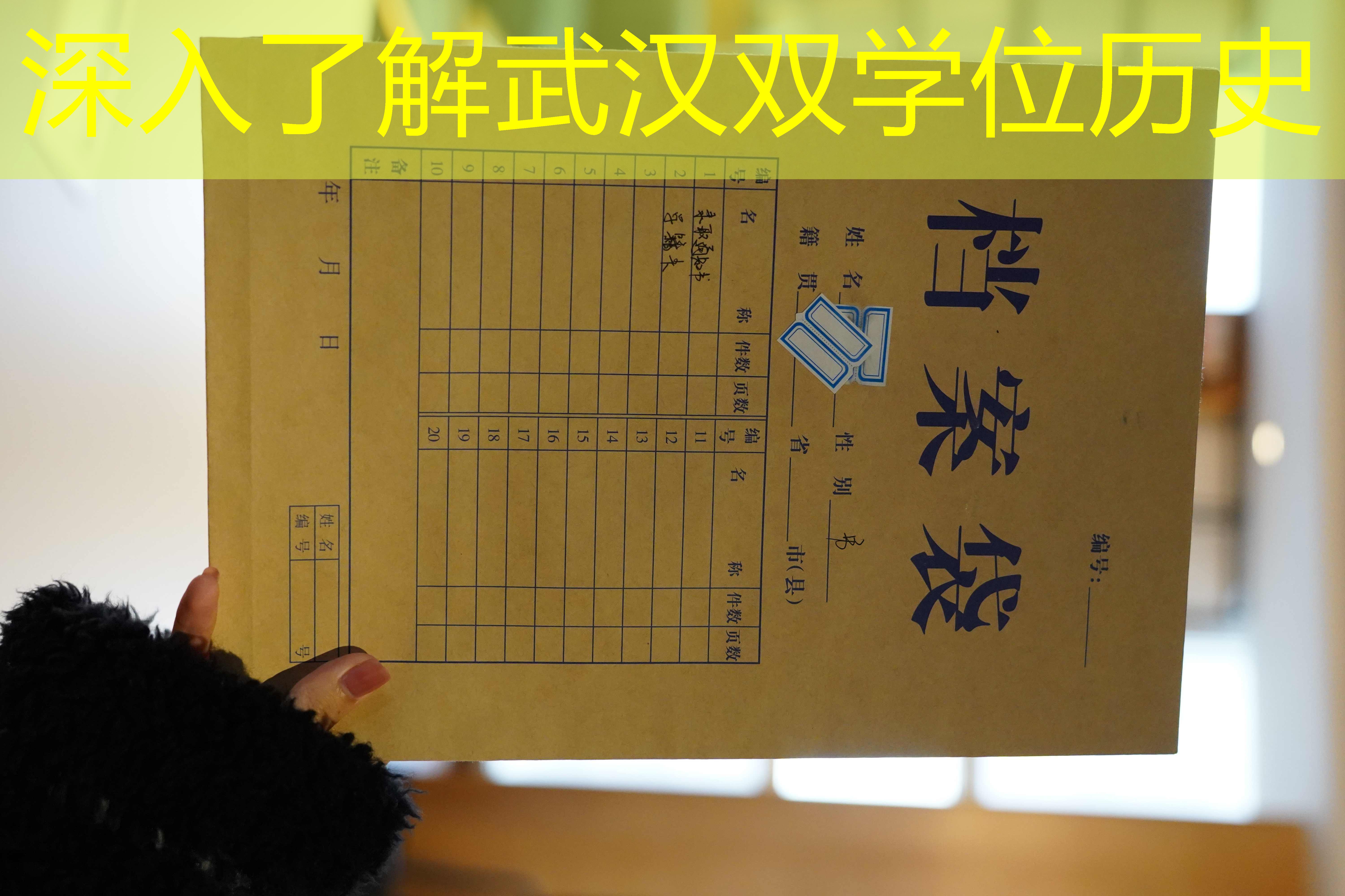 档案查询