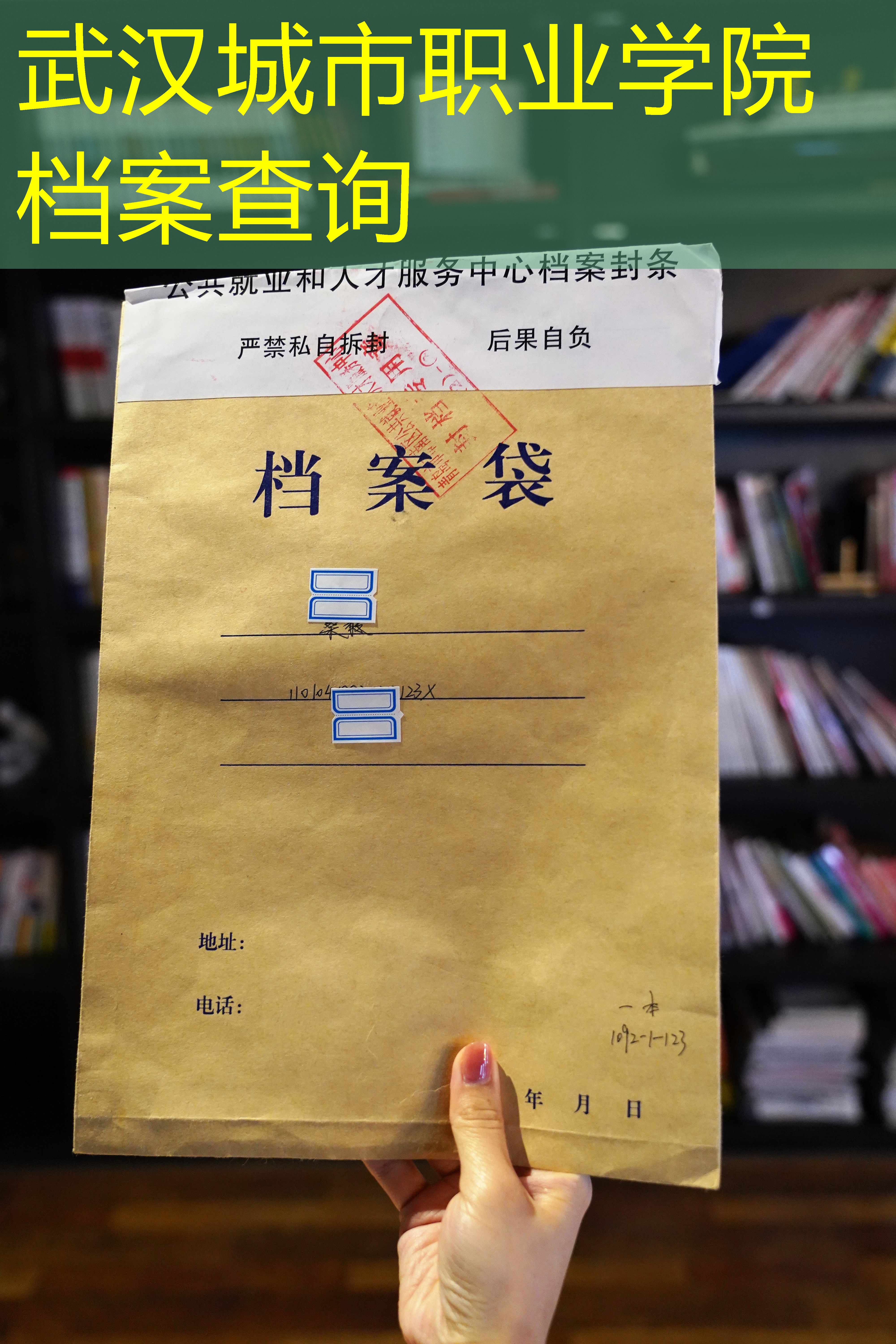 档案查询
