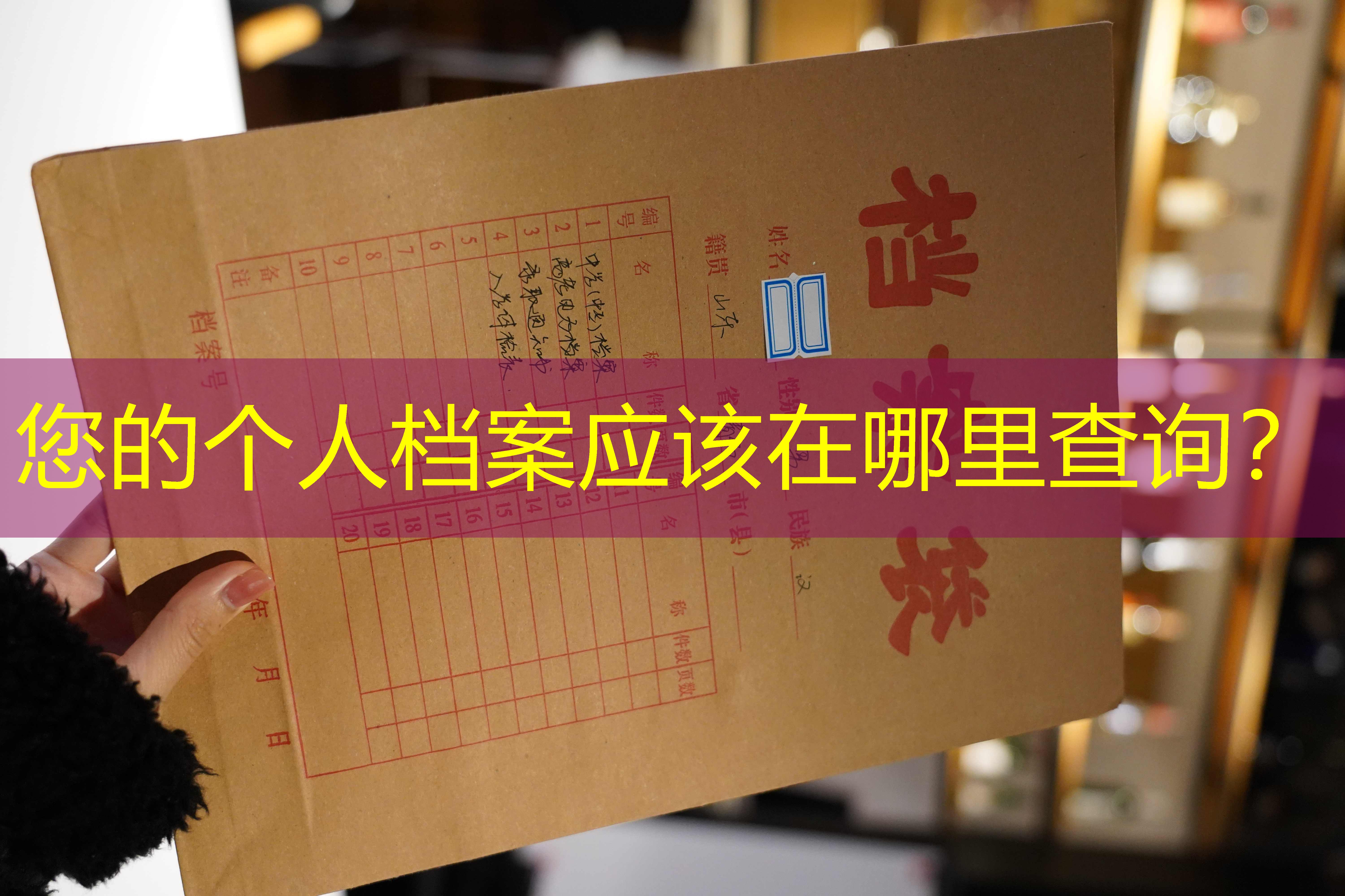 档案查询