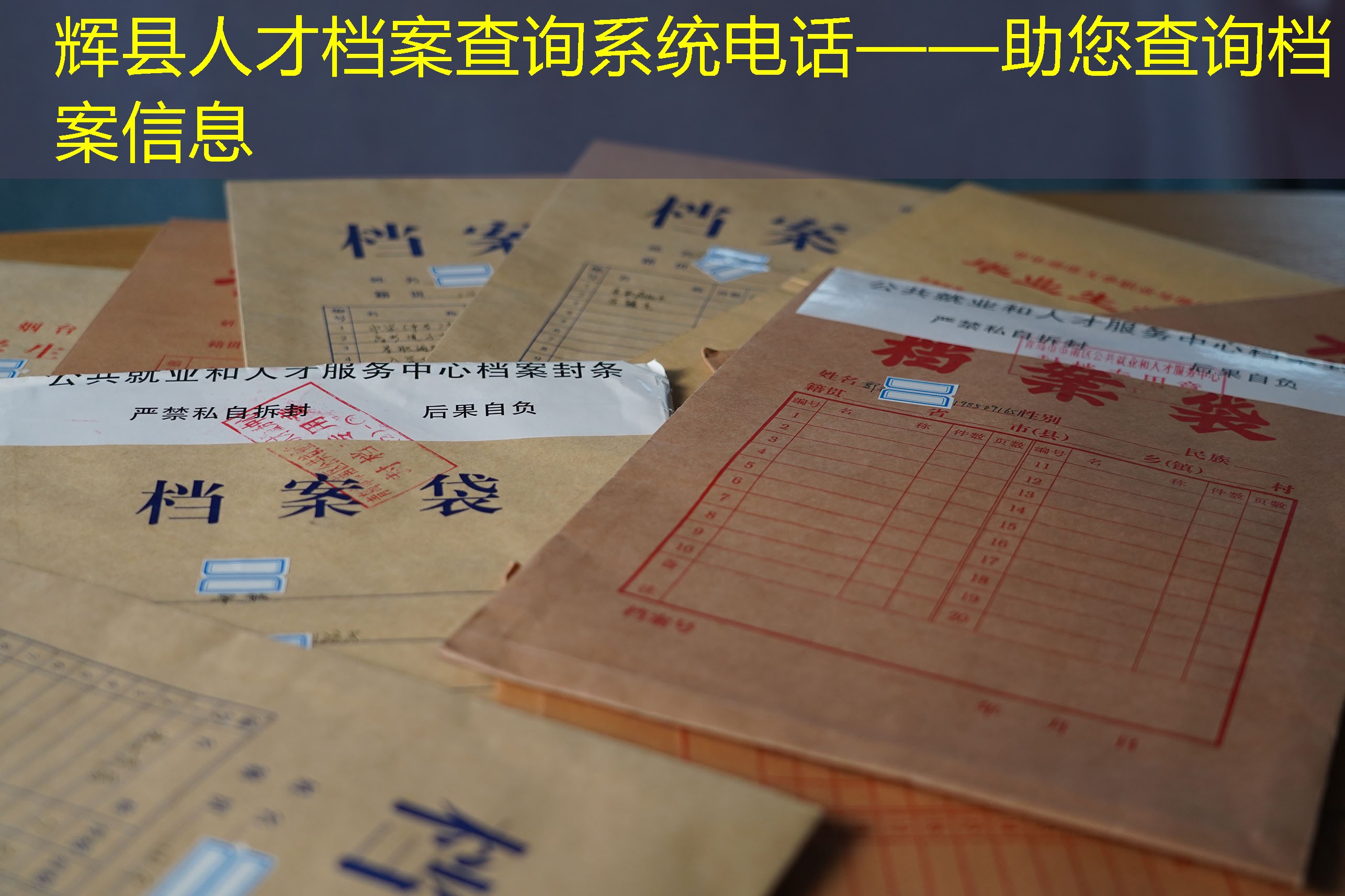 档案查询