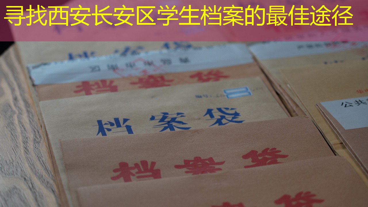 档案查询