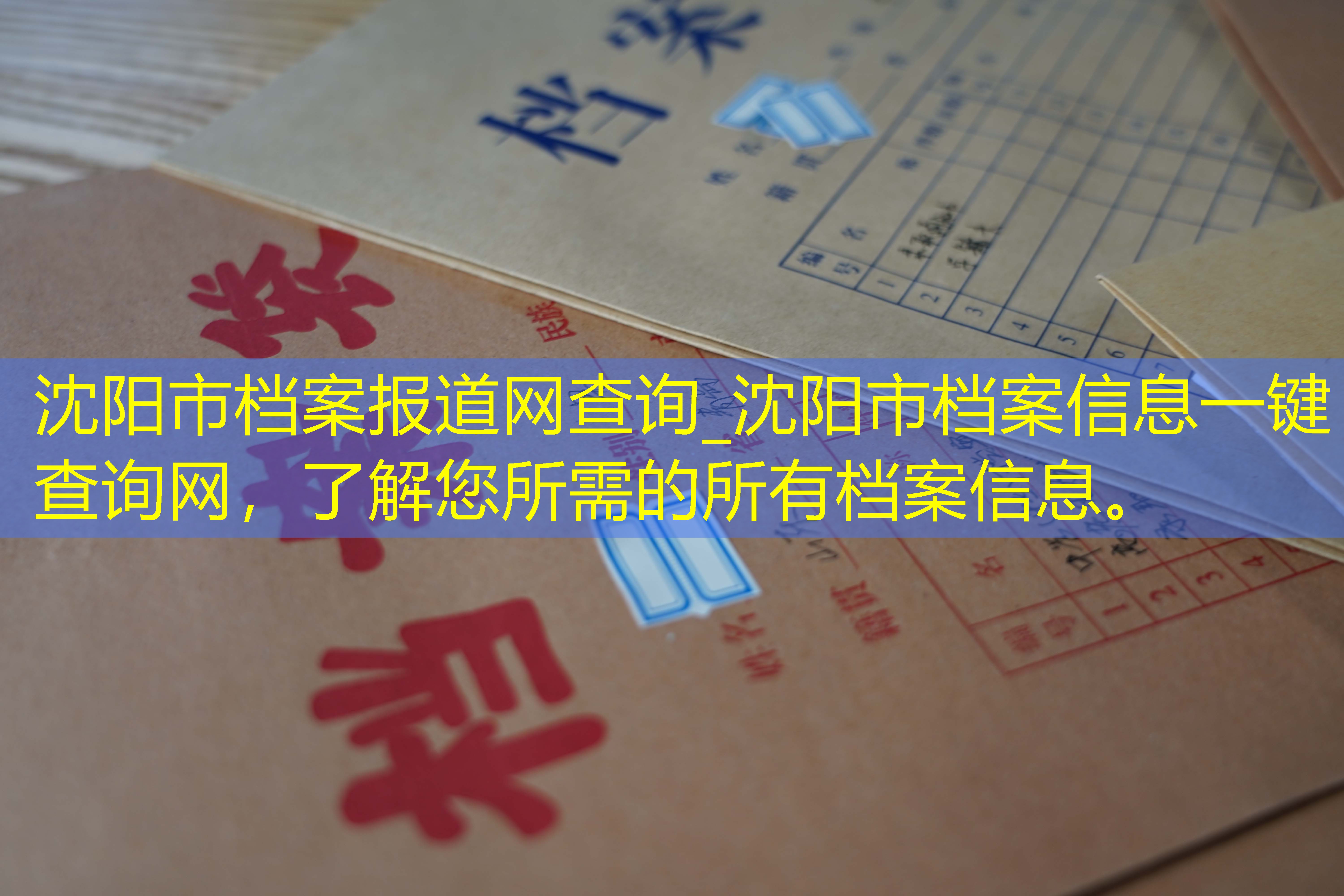 档案查询
