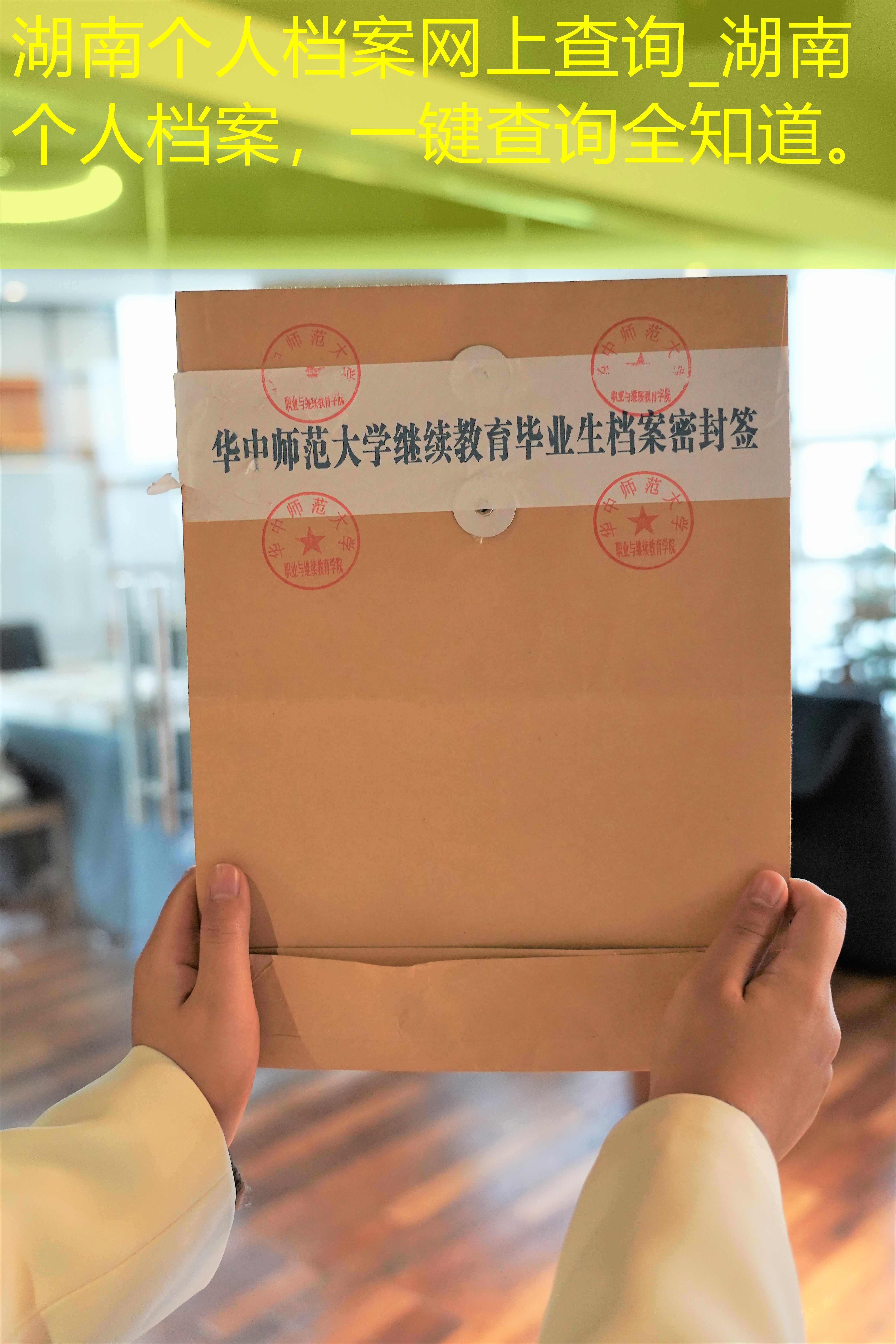 档案查询