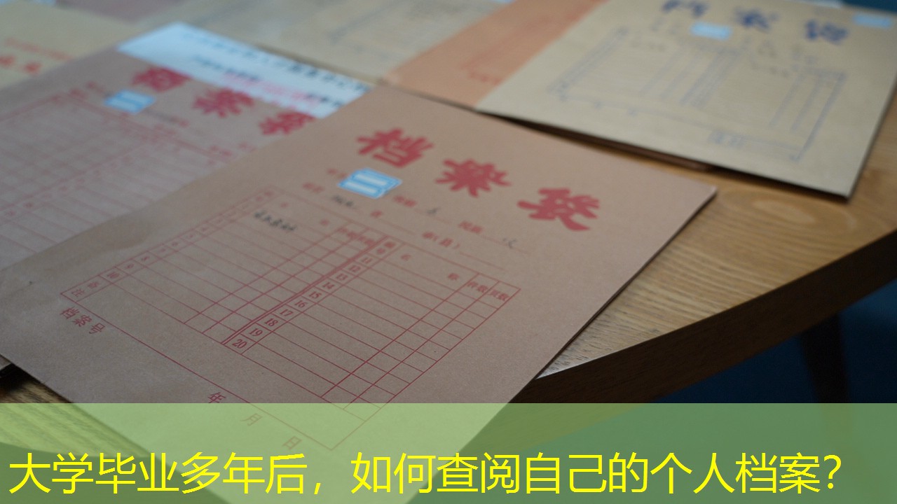 档案查询