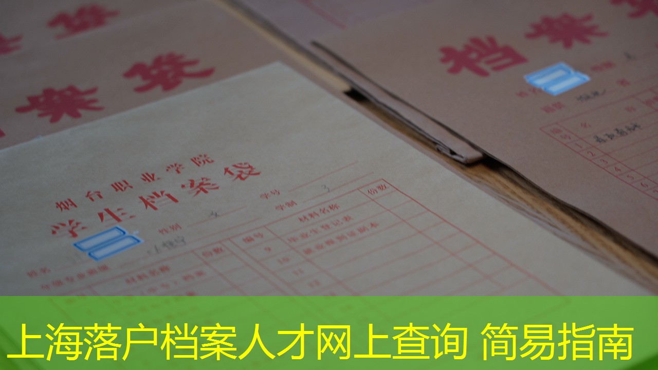 档案查询