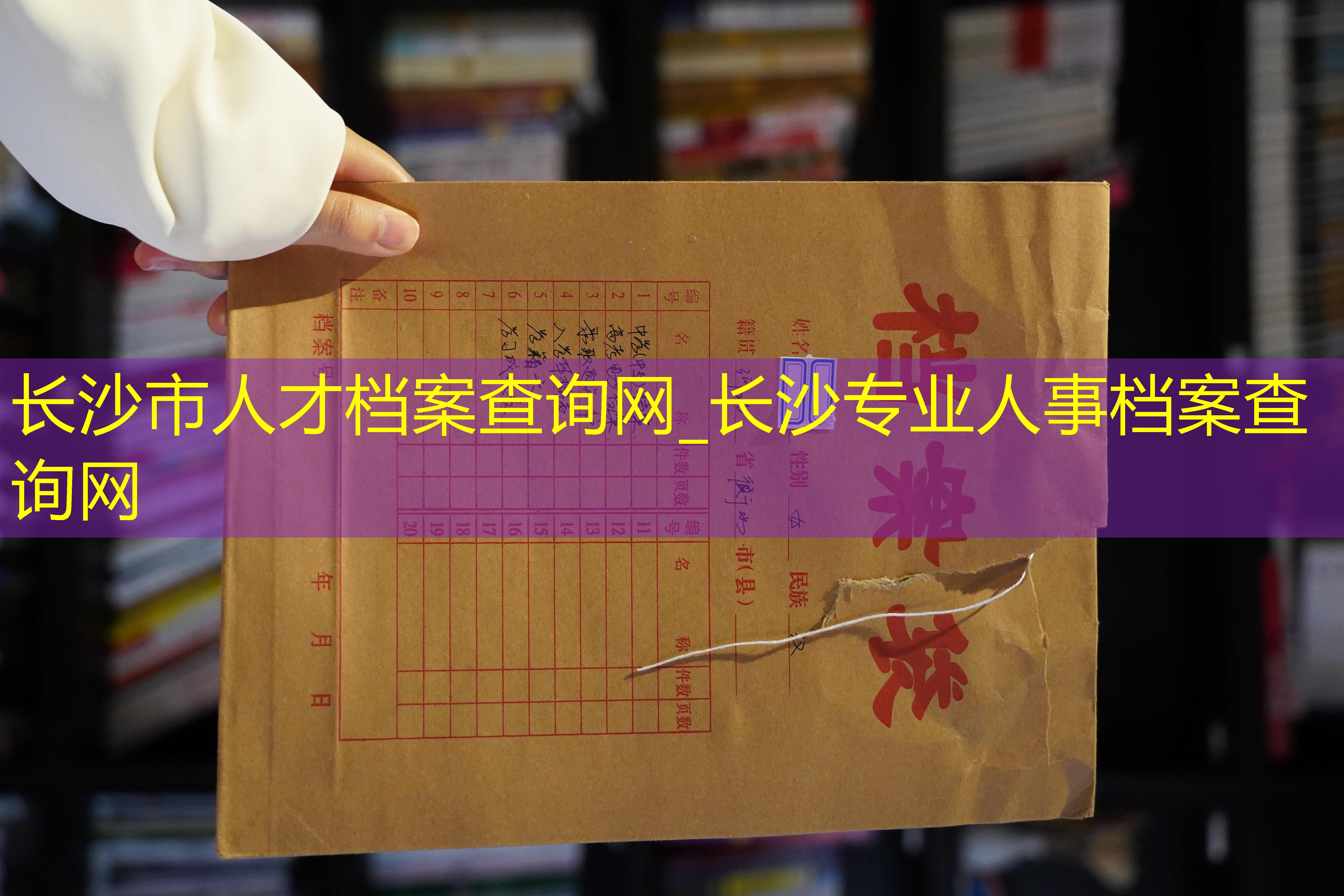 档案查询
