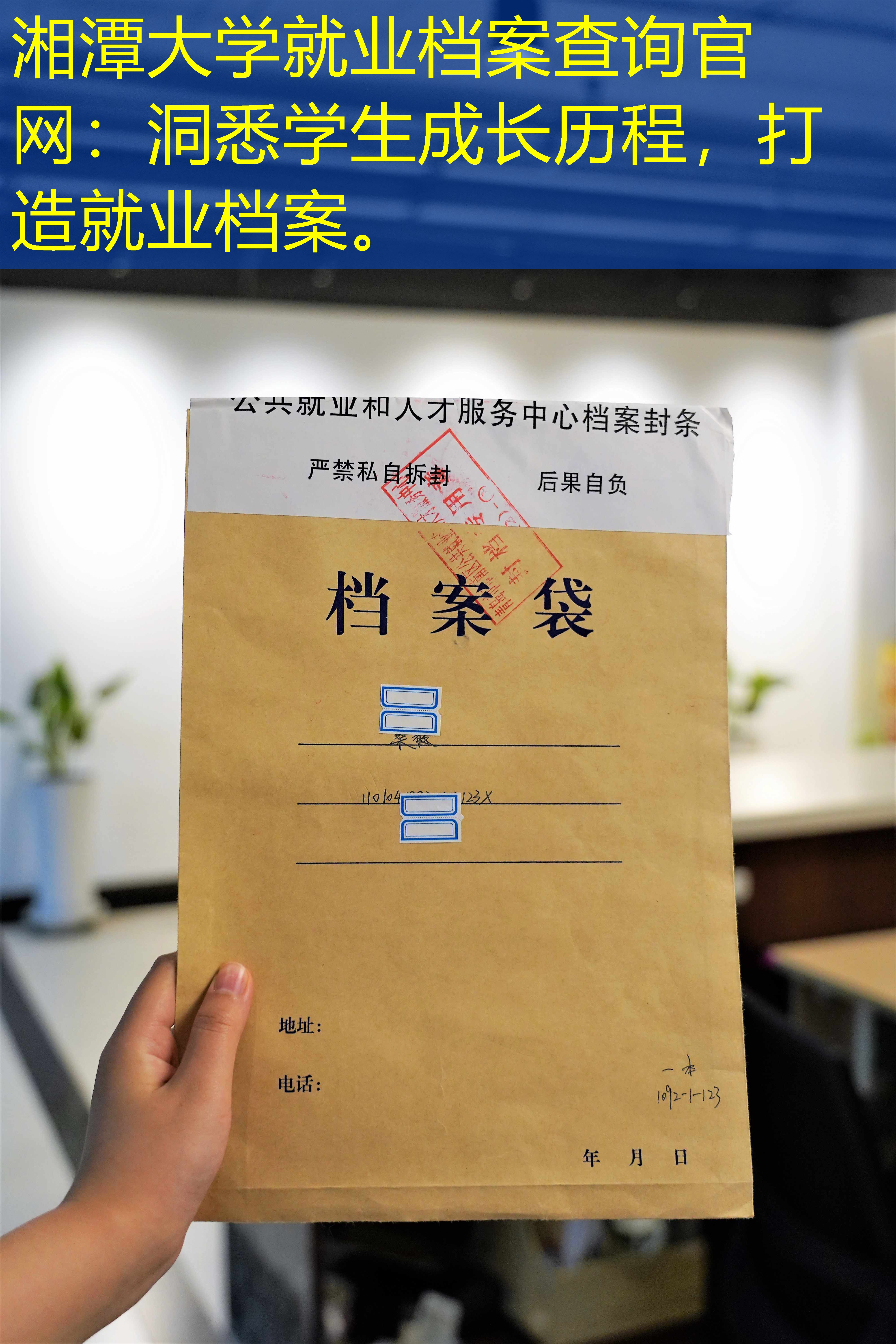 档案查询