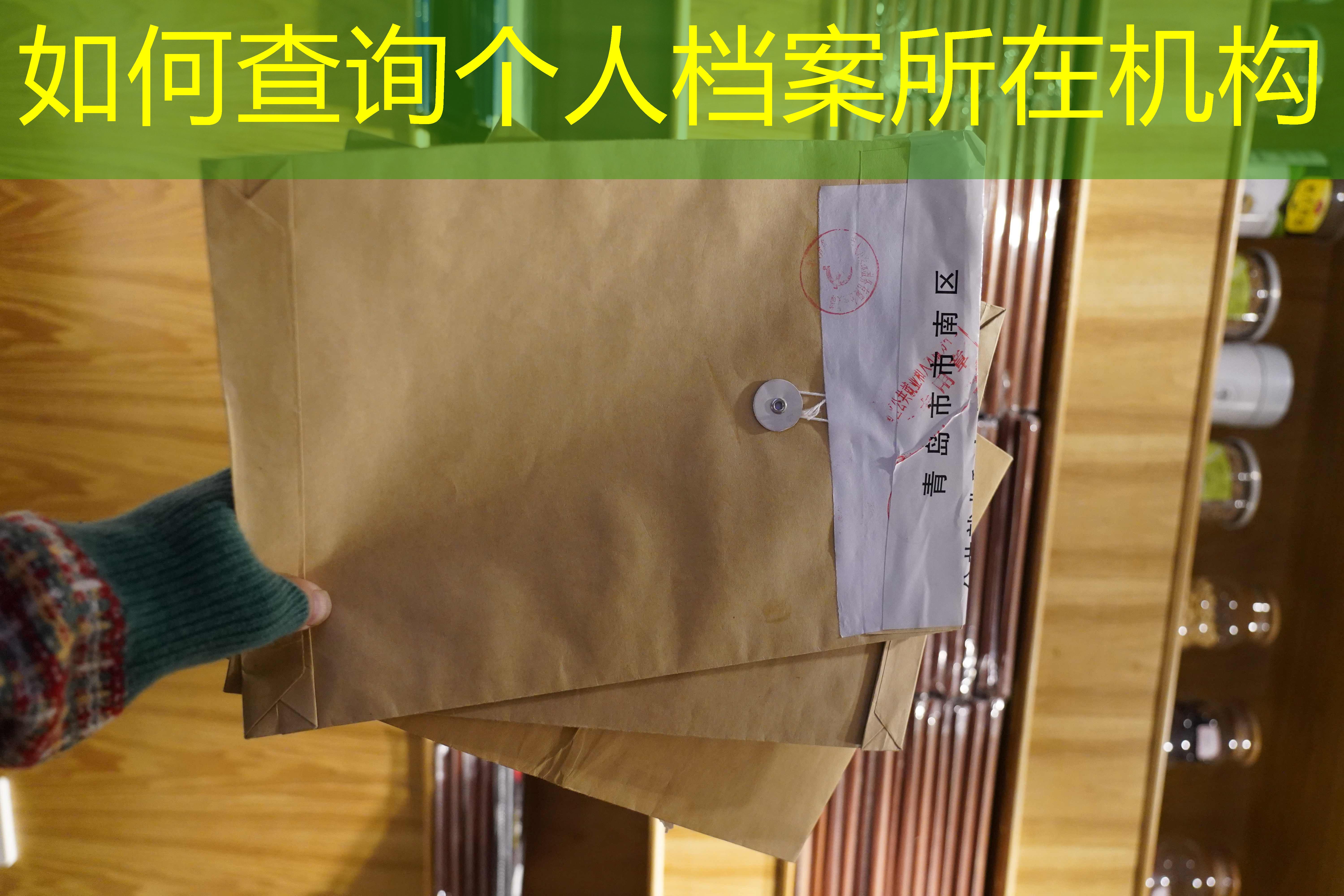 档案查询