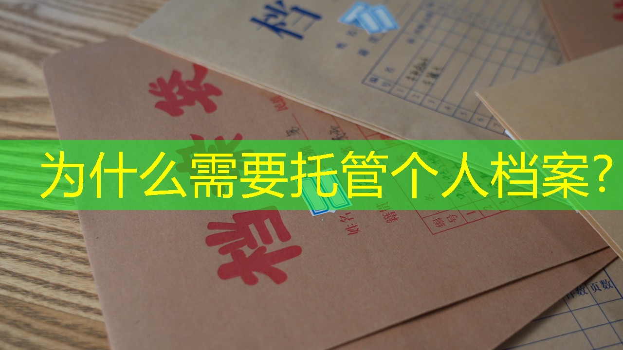 档案查询