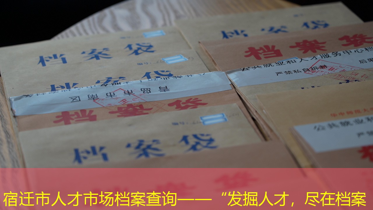 档案查询