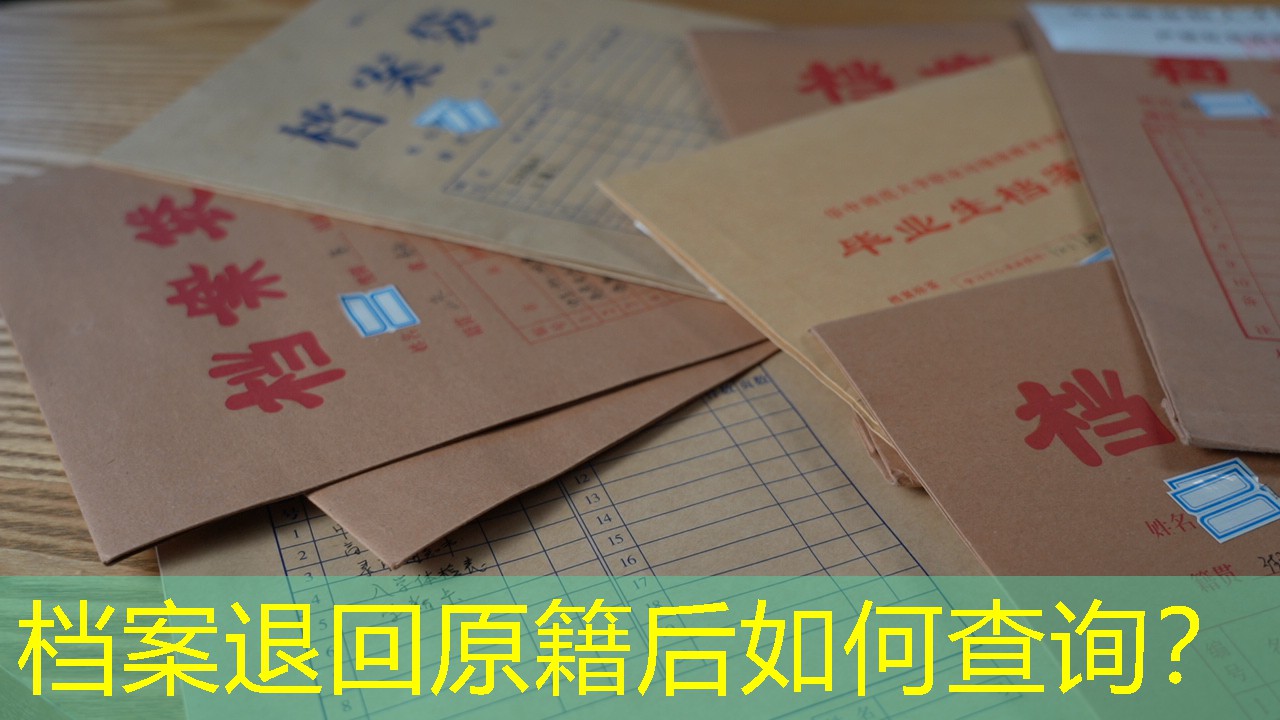 档案查询