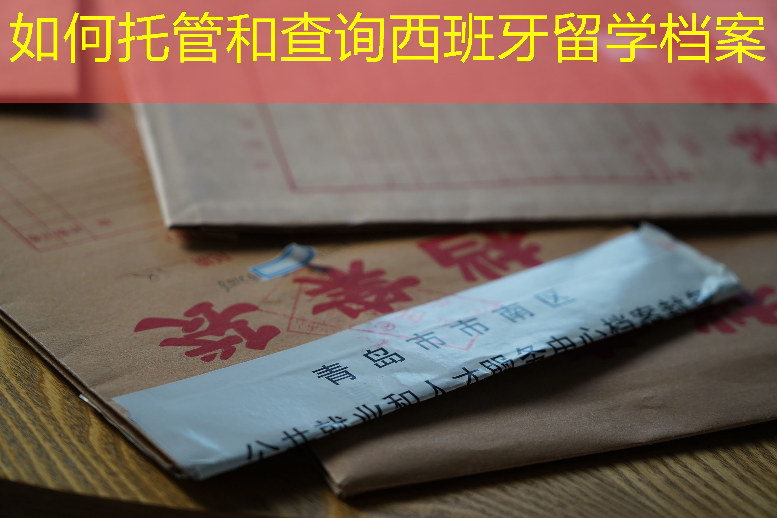 档案查询