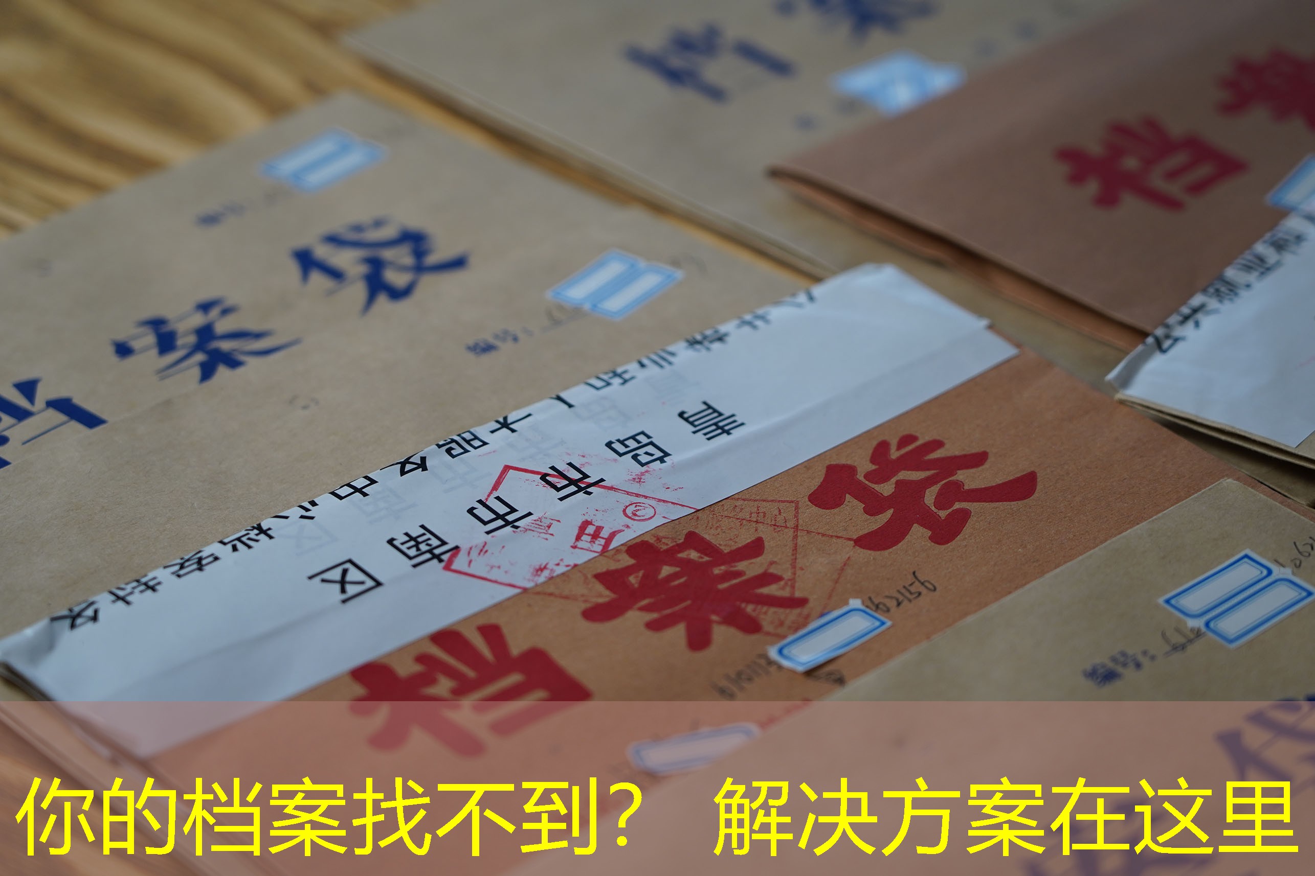 档案查询