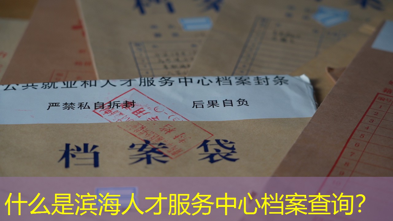 档案查询