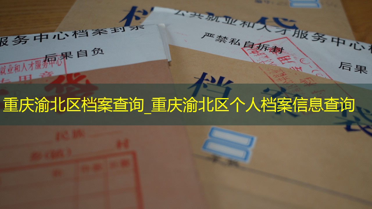 档案查询