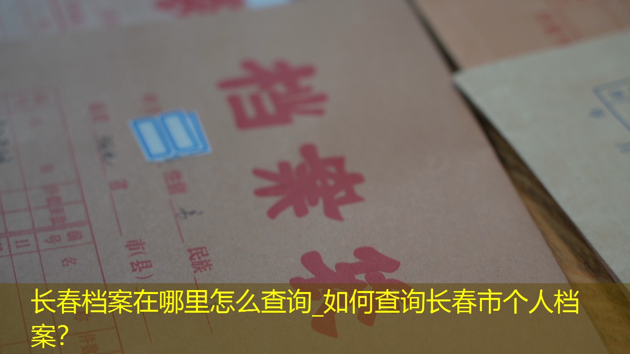 档案查询